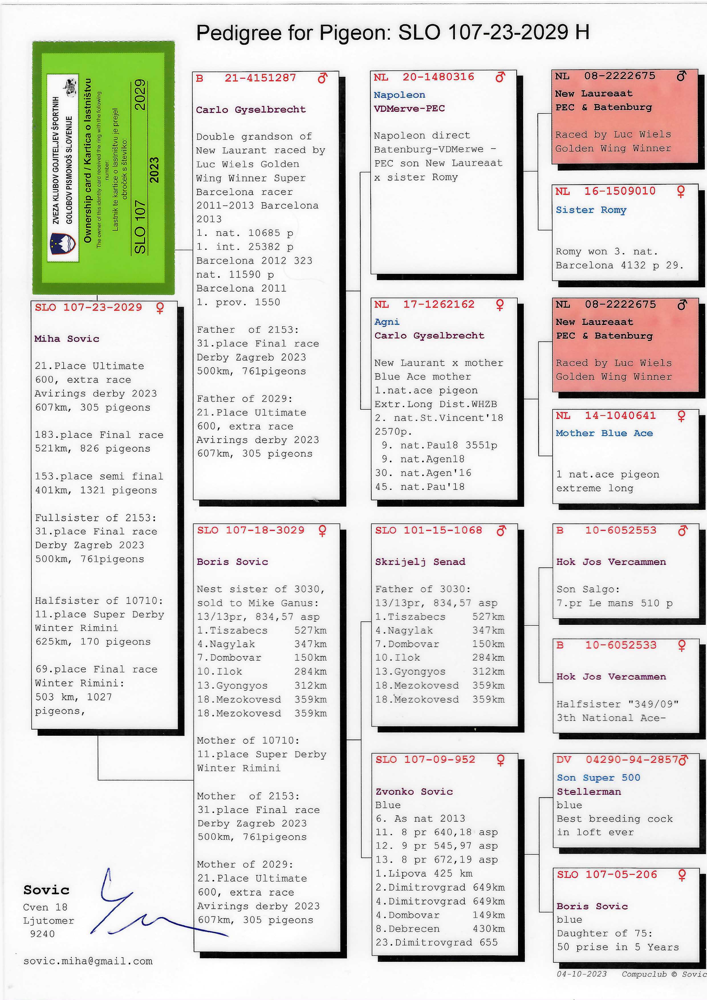 Pigeon pedigree image
