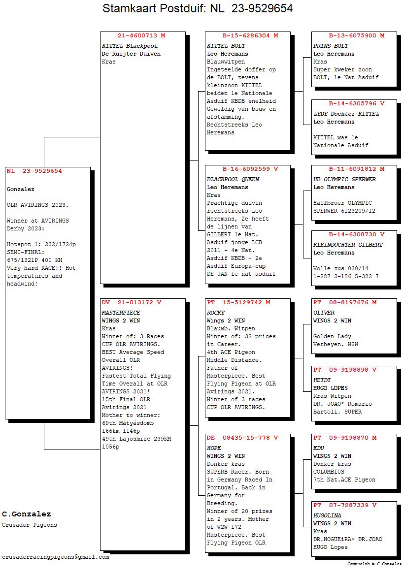 Pigeon pedigree image