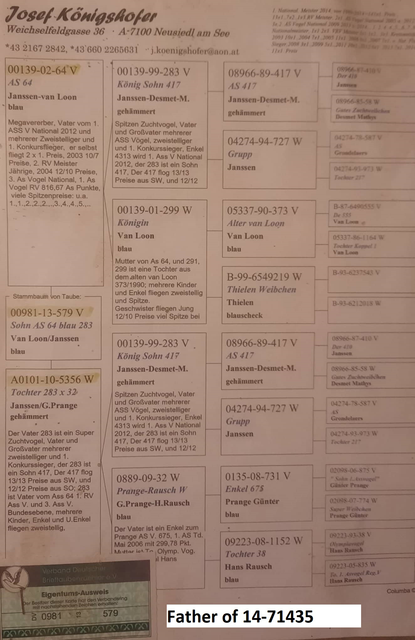 Pigeon pedigree image