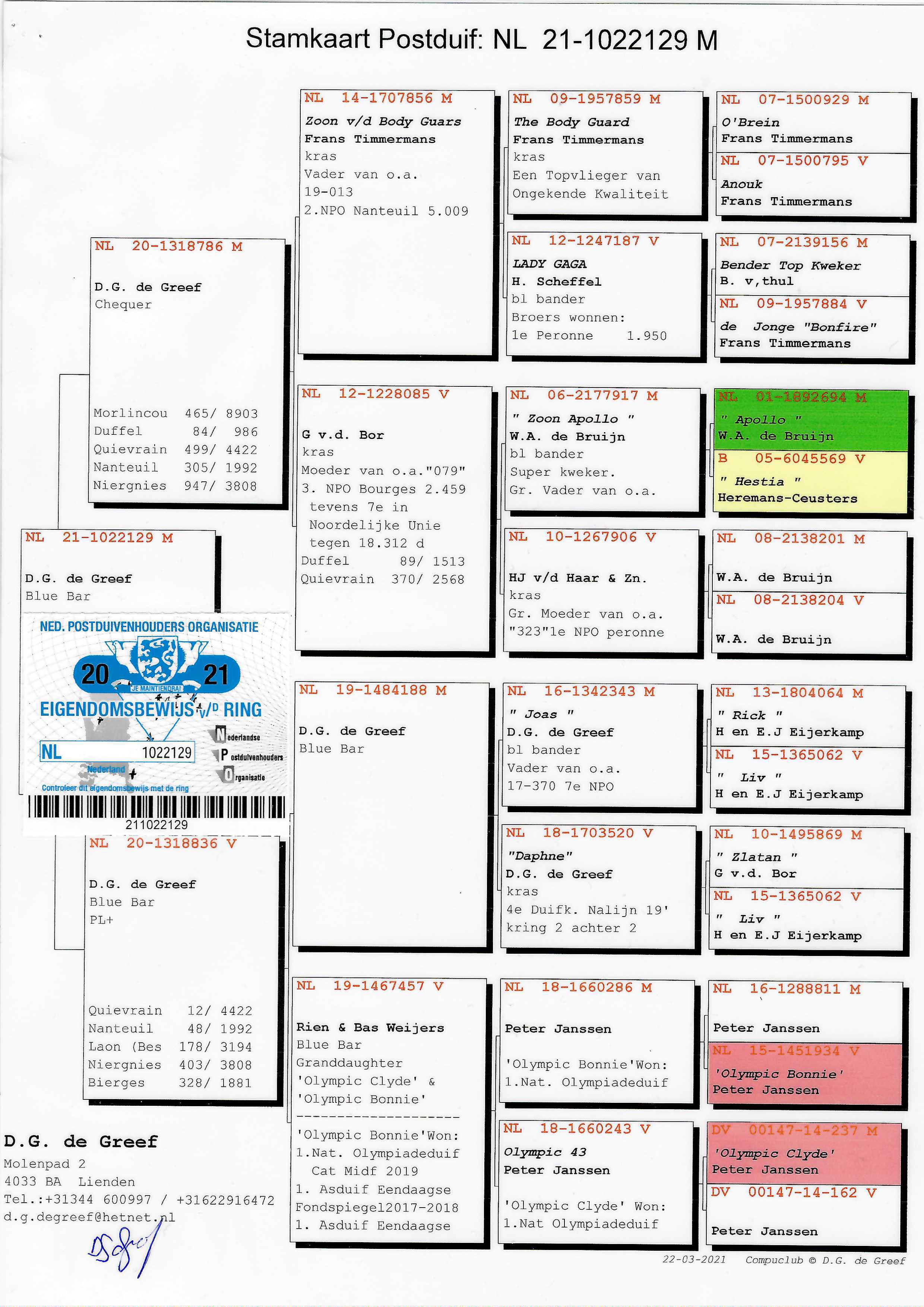 Pigeon pedigree image