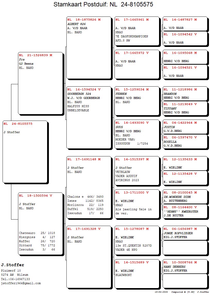 Pigeon pedigree image