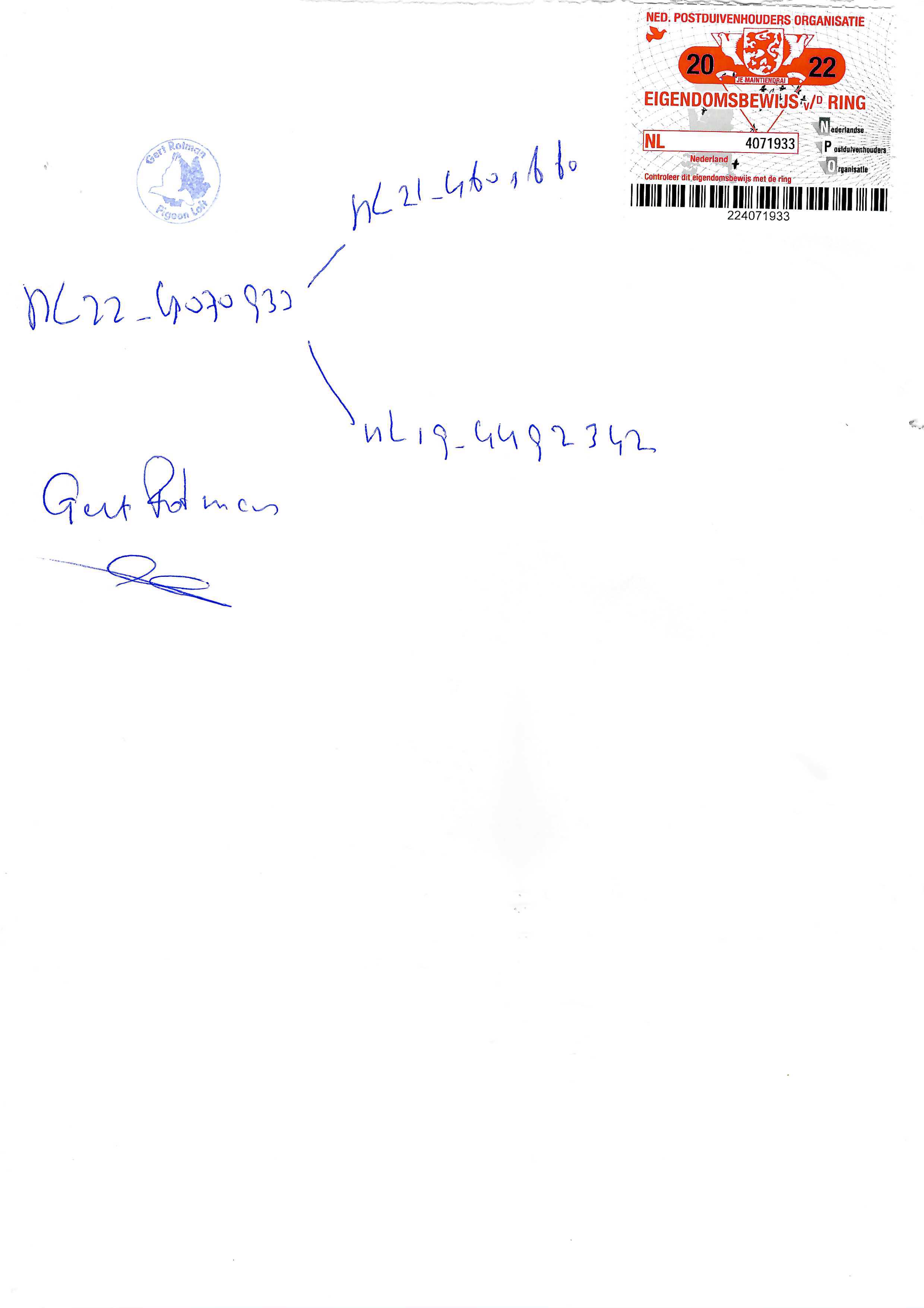 Pigeon pedigree image