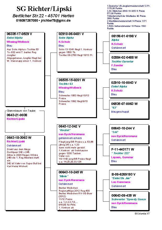 Pigeon pedigree image