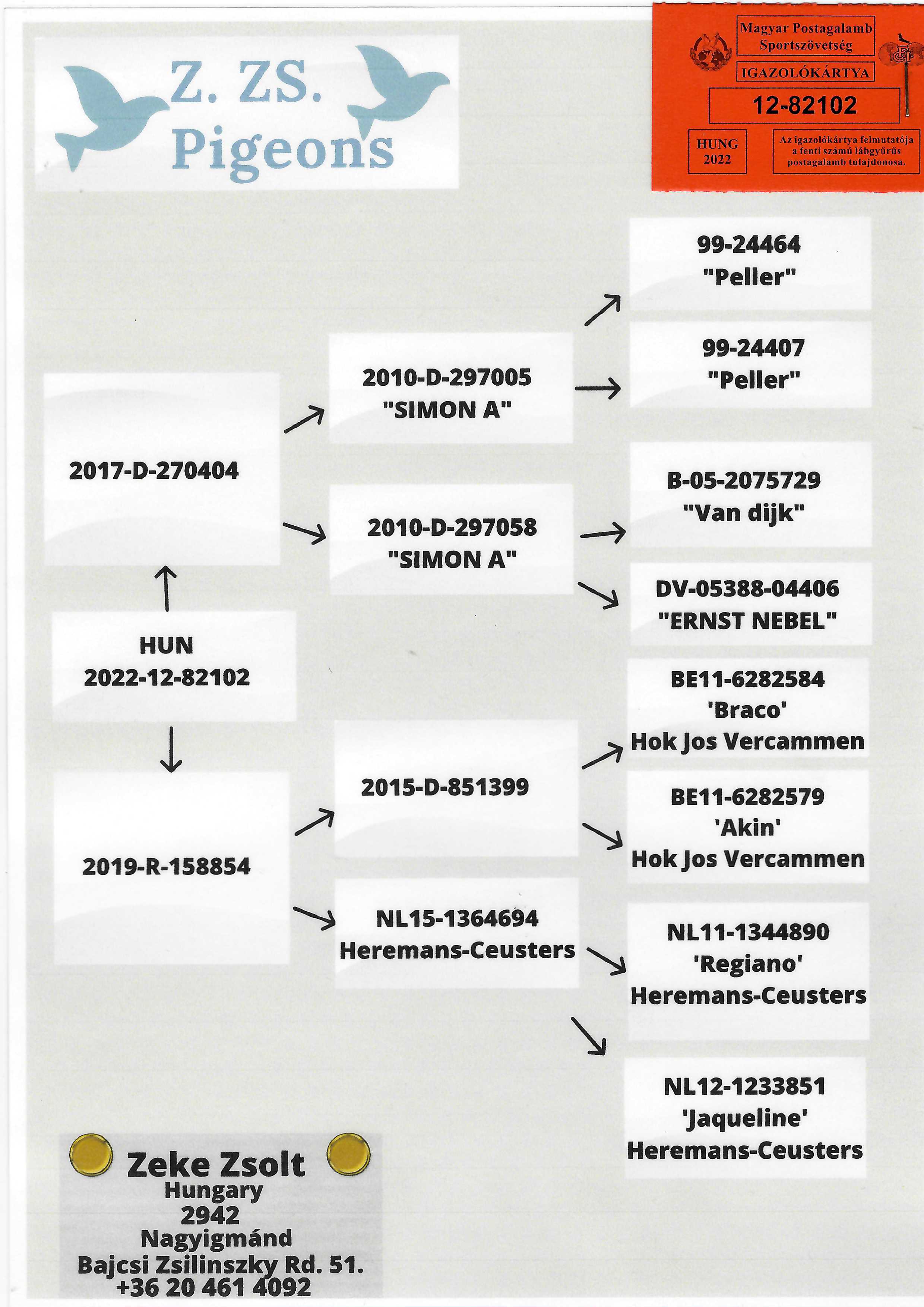Pigeon pedigree image