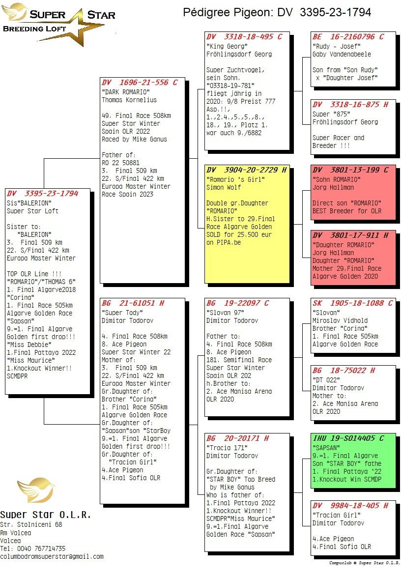 Pigeon pedigree image