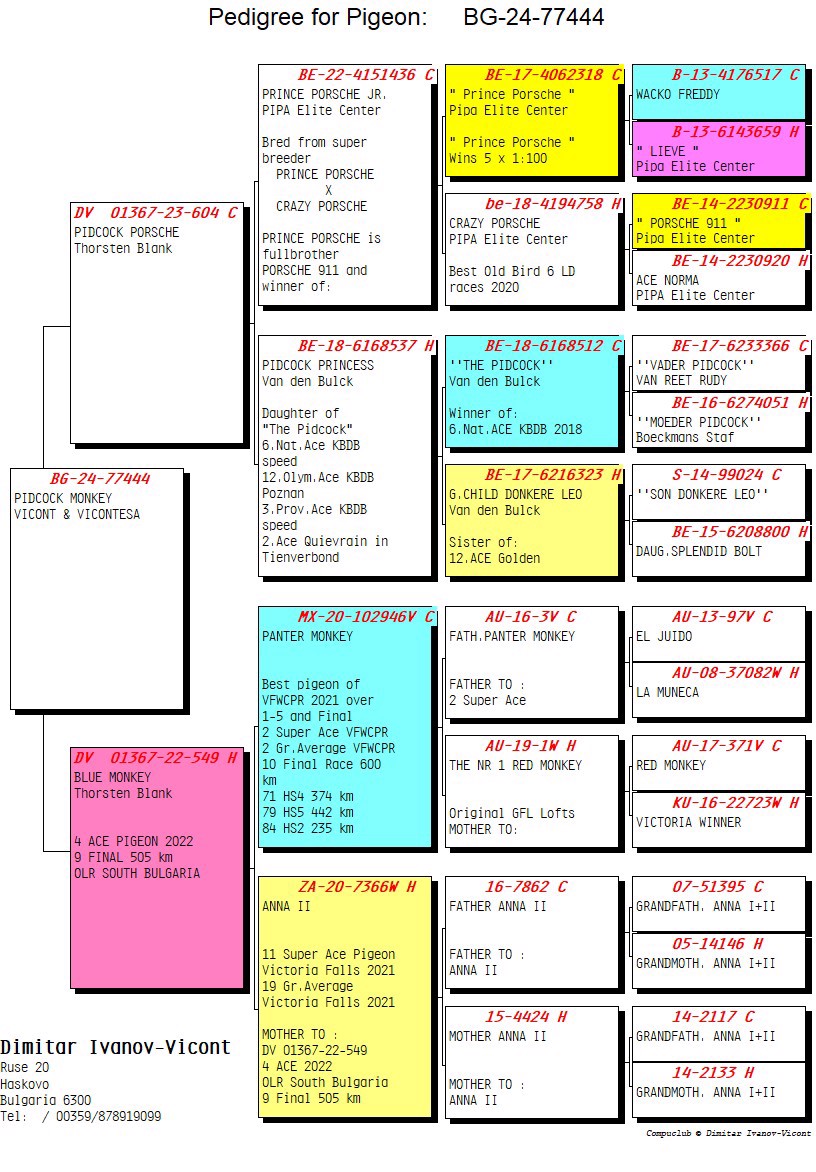Pigeon pedigree image