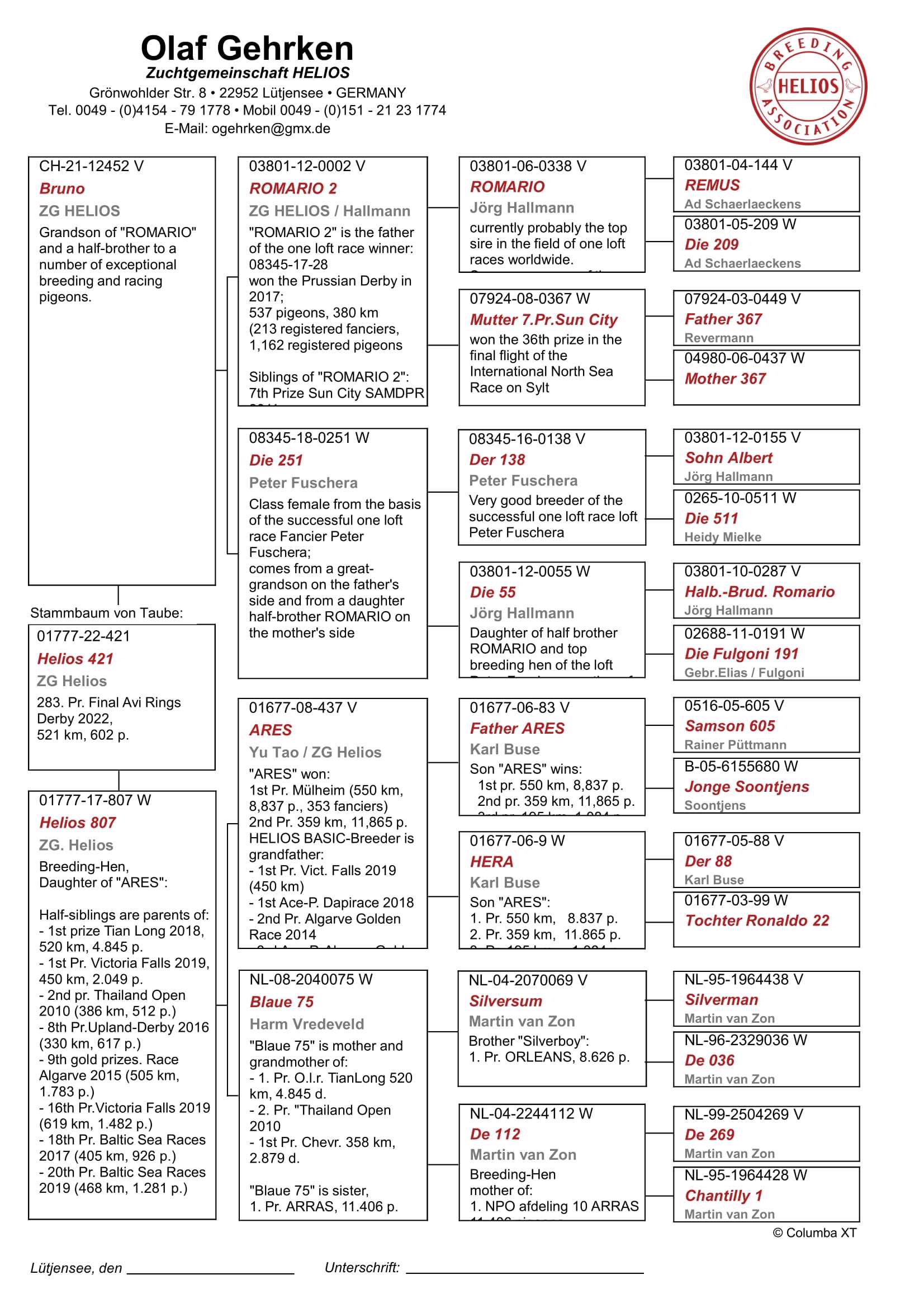 Pigeon pedigree image