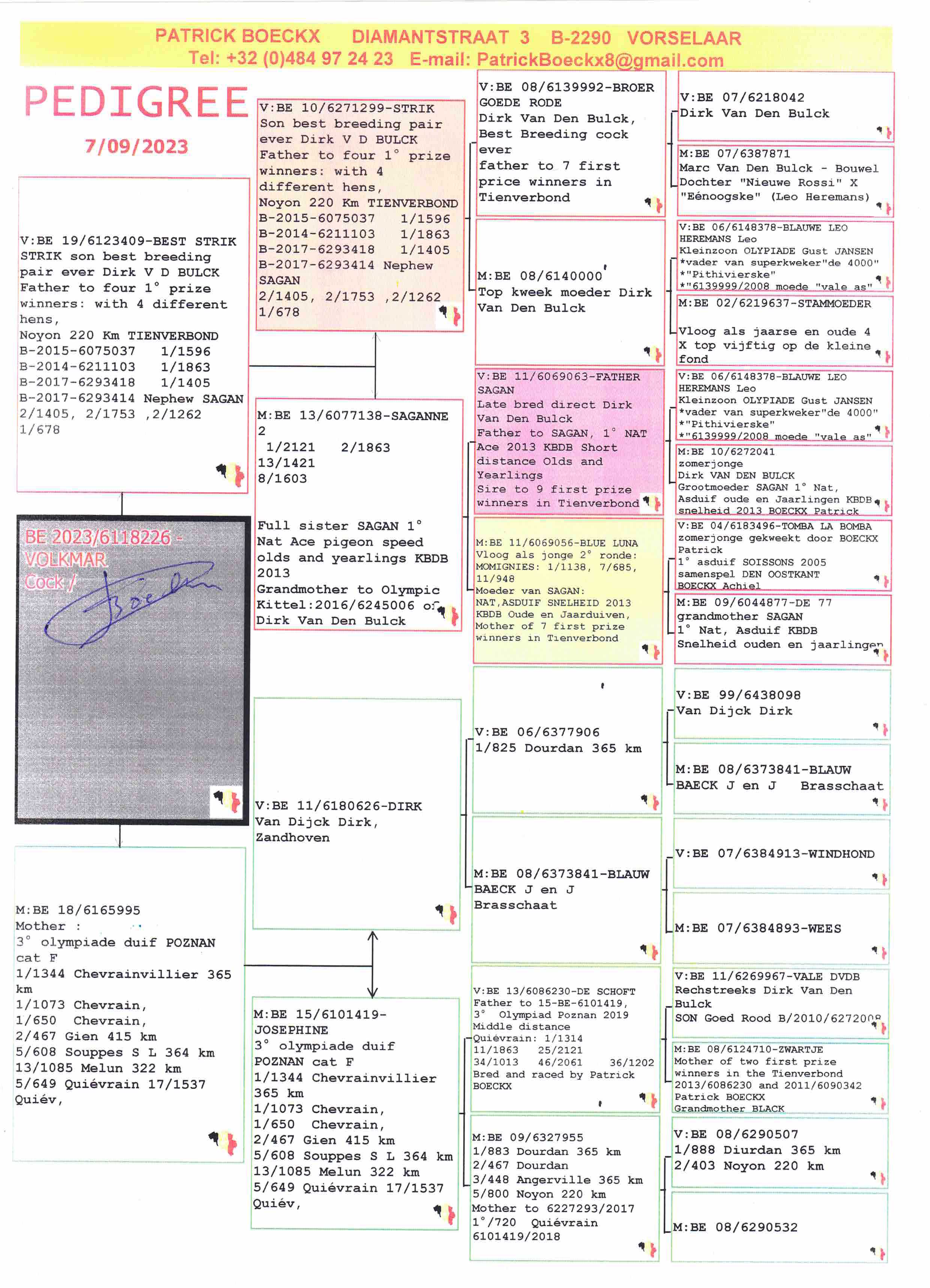 Pigeon pedigree image
