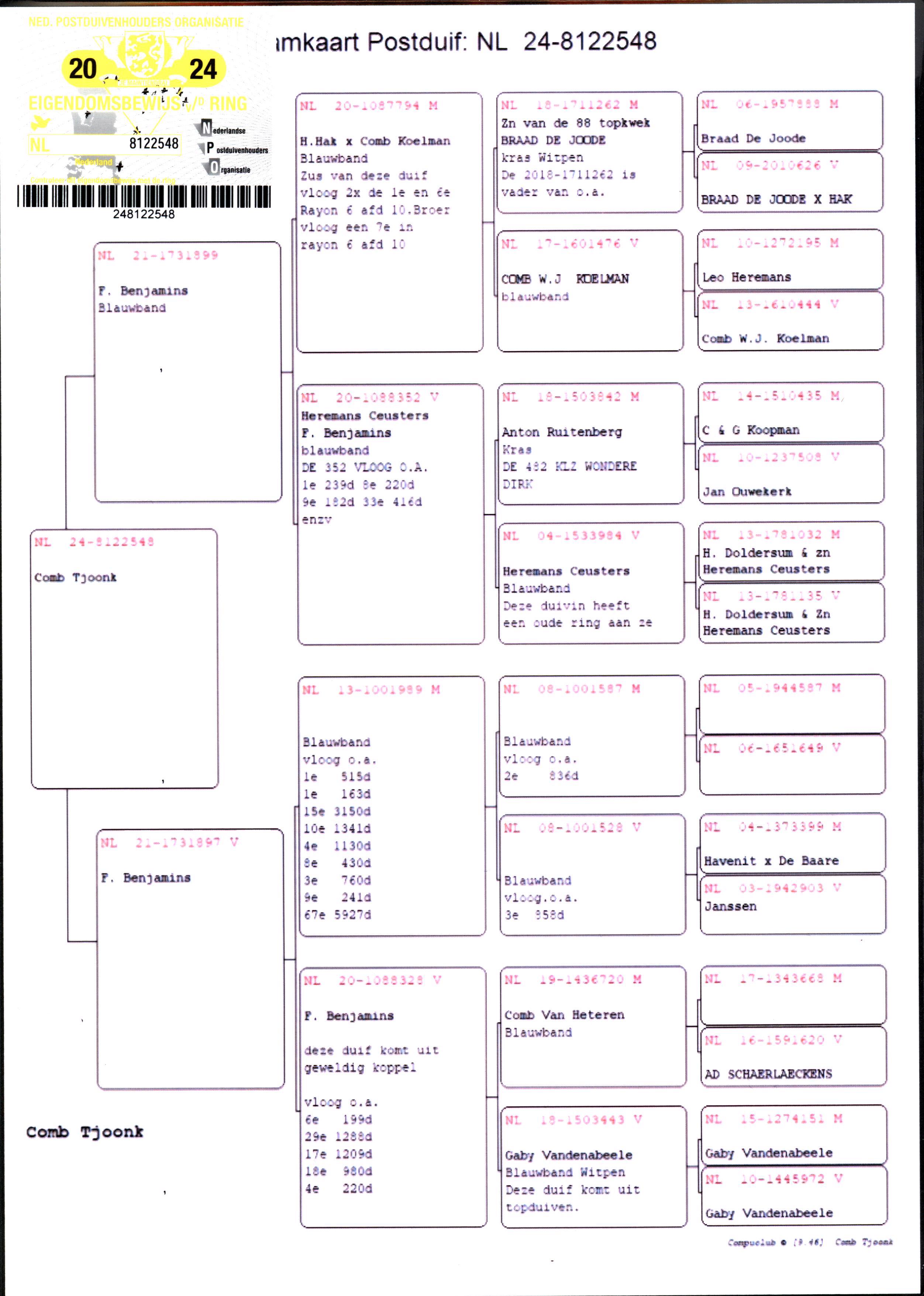 Pigeon pedigree image