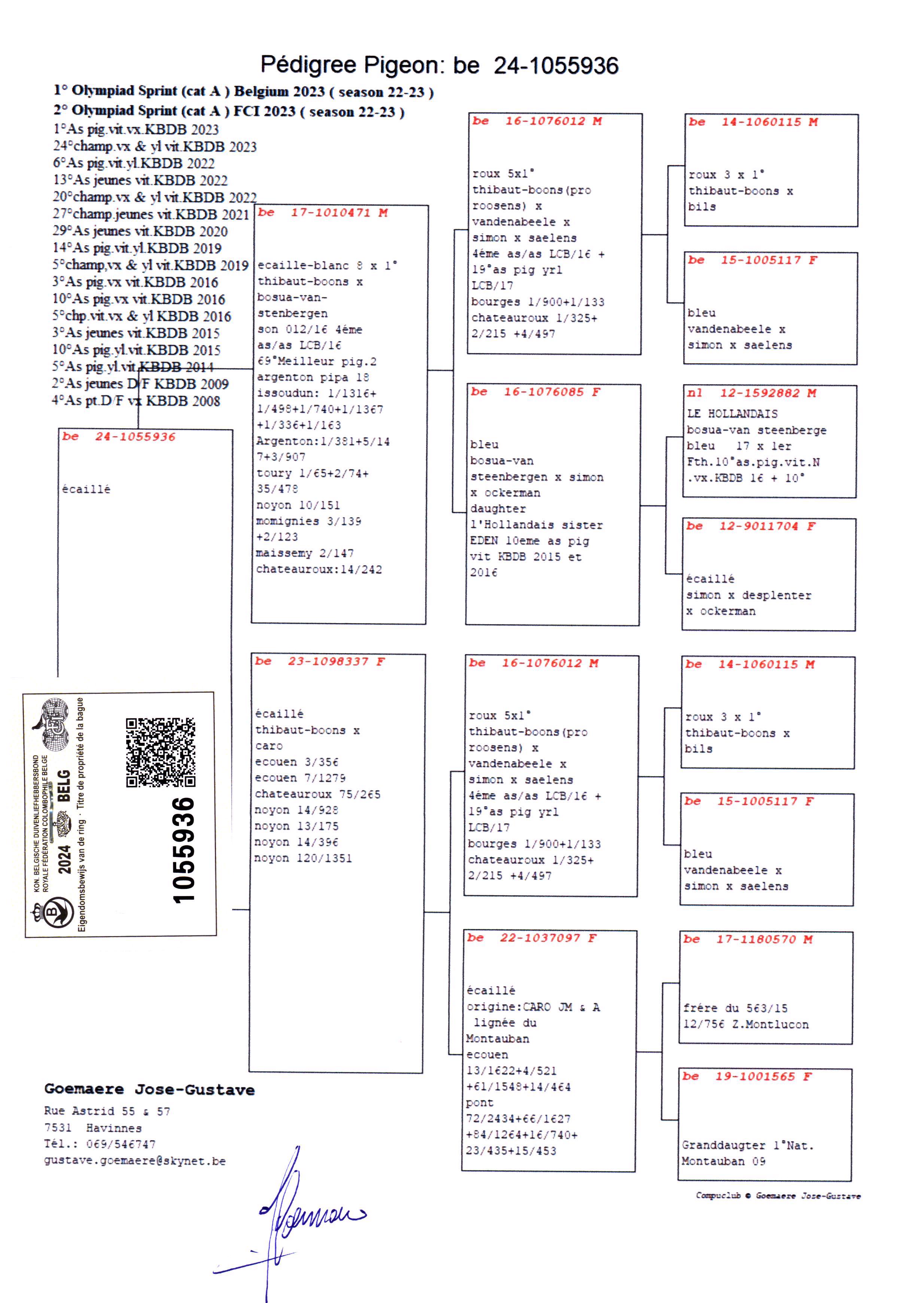 Pigeon pedigree image