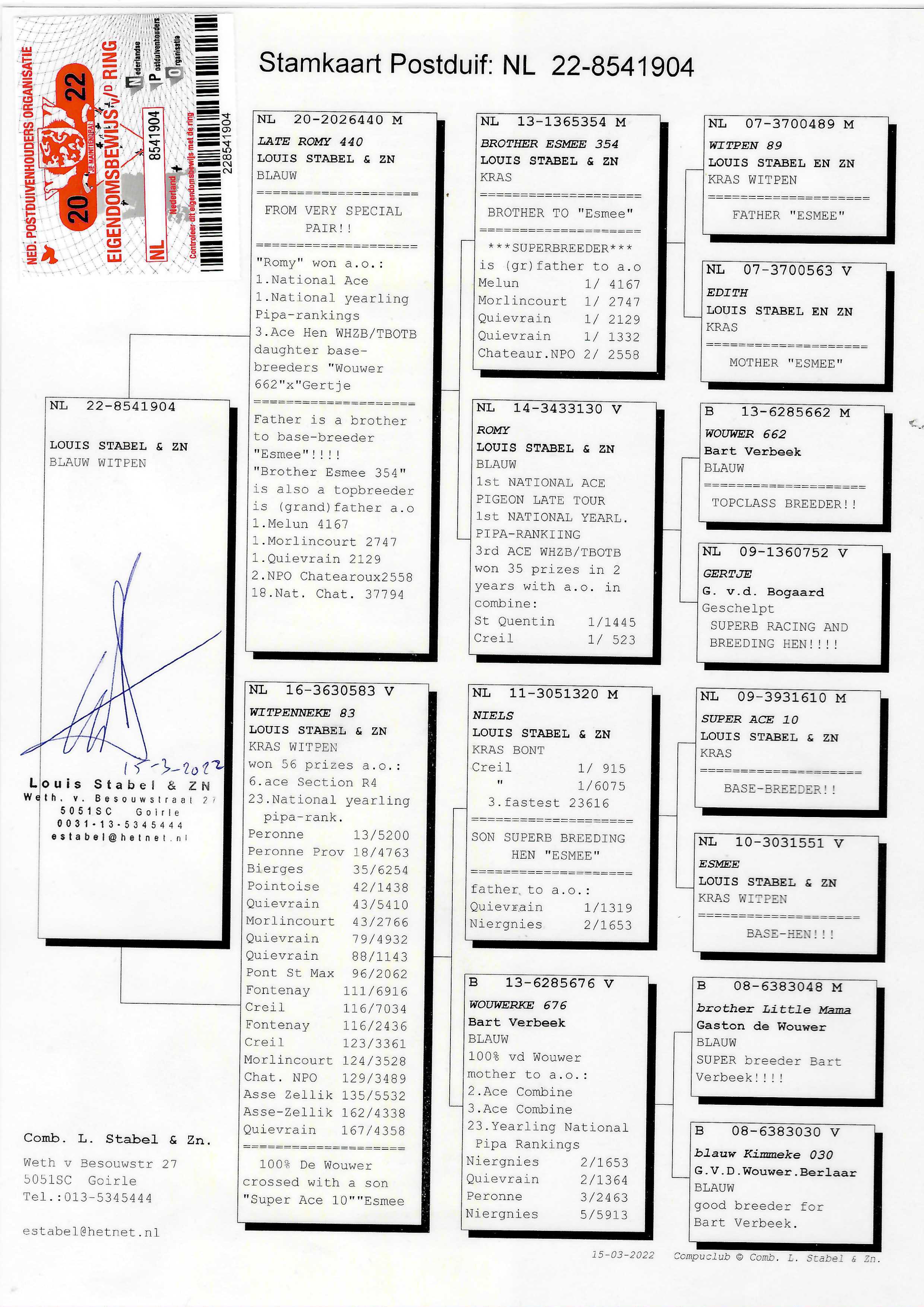 Pigeon pedigree image