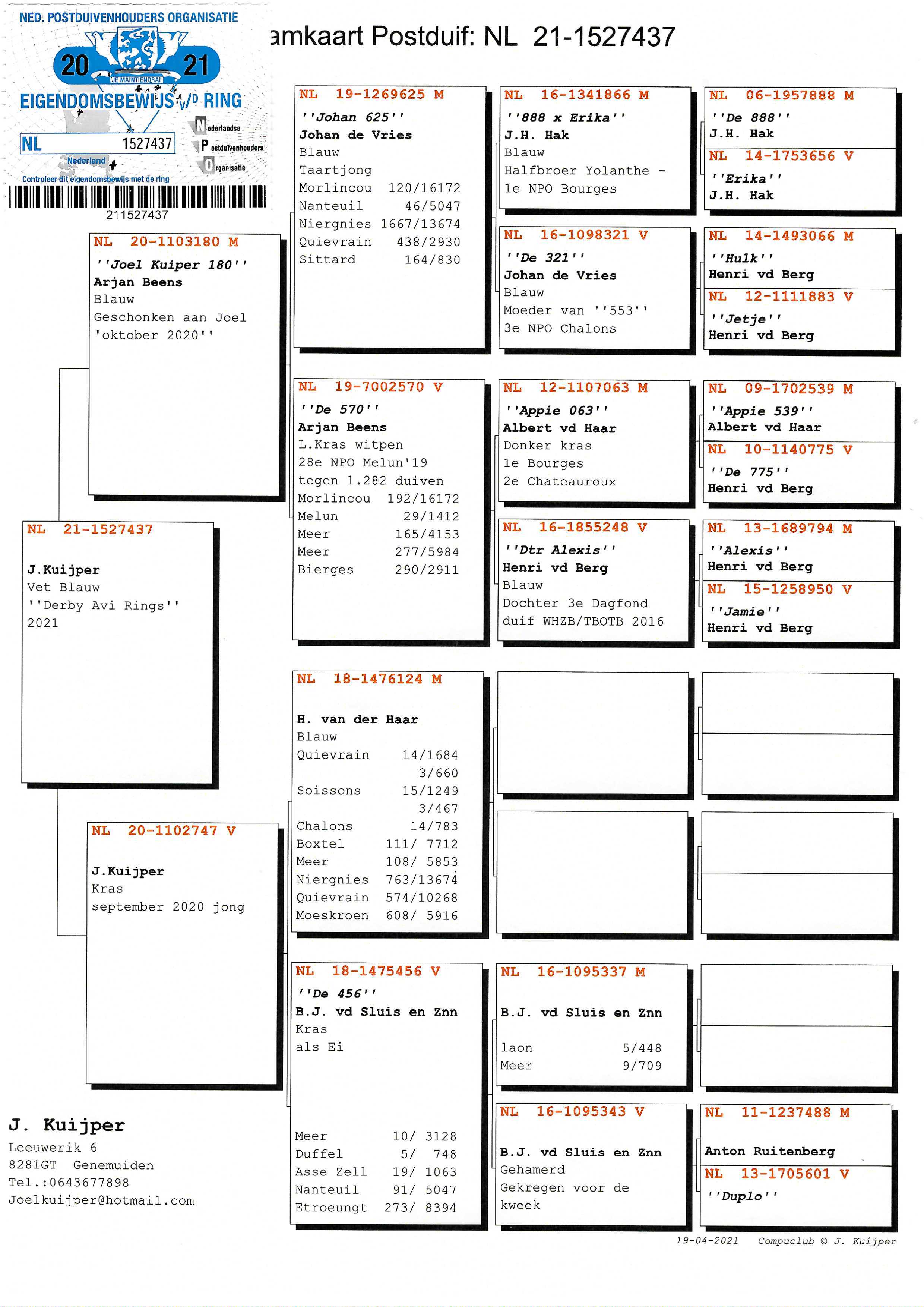 Pigeon pedigree image