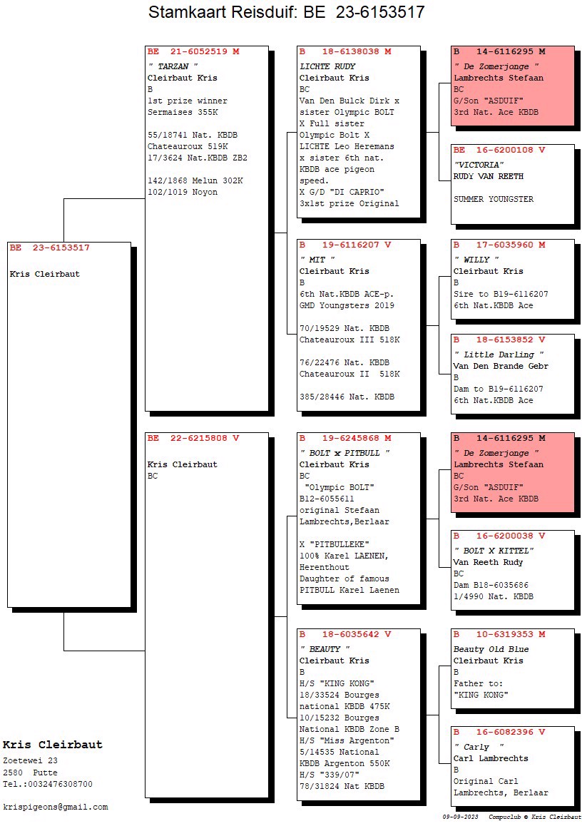 Pigeon pedigree image
