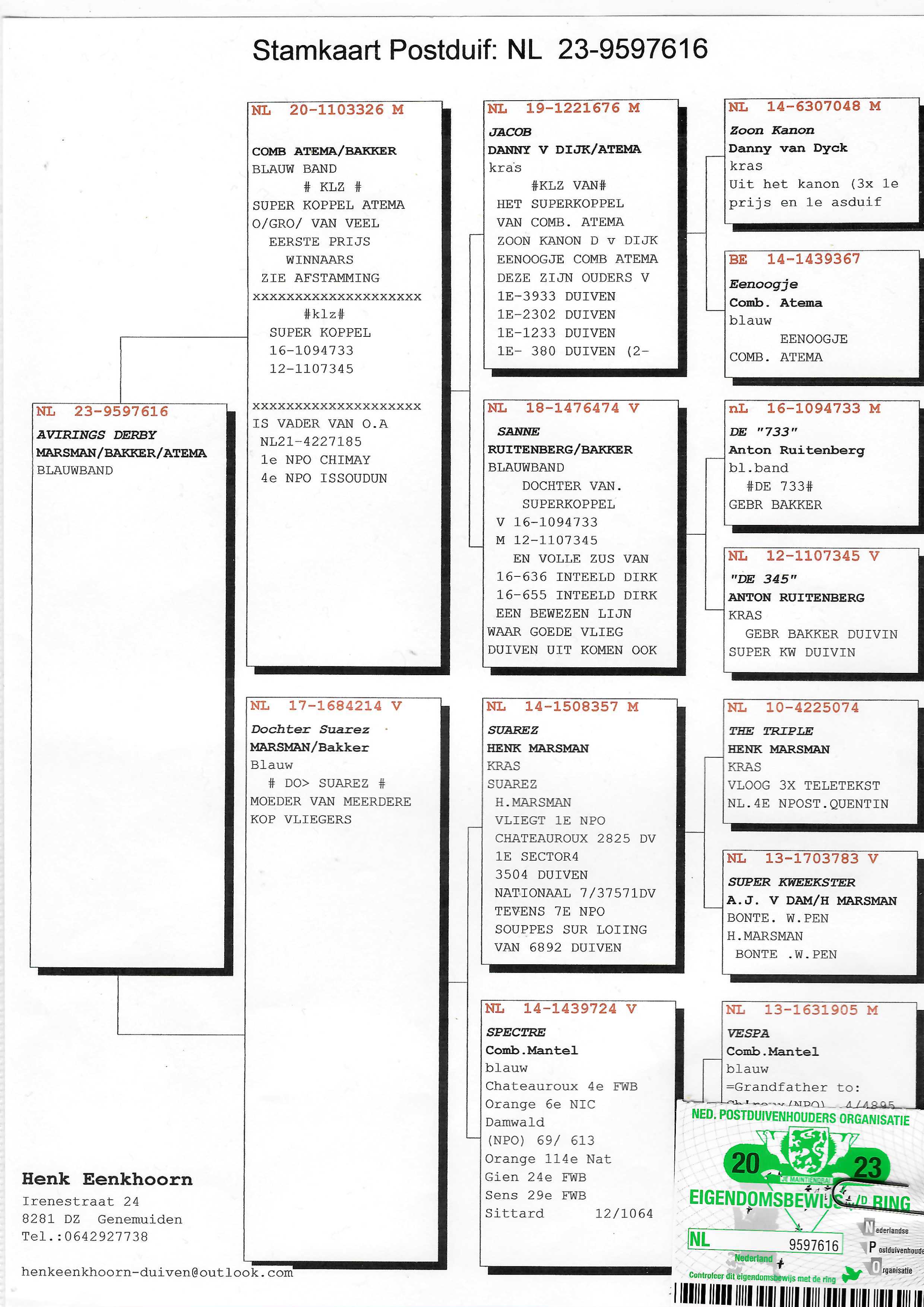 Pigeon pedigree image