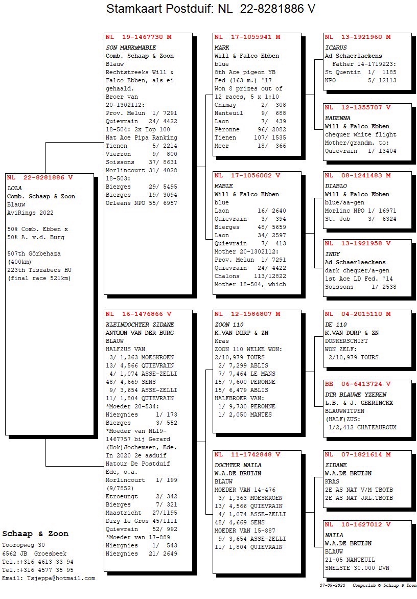 Pigeon pedigree image