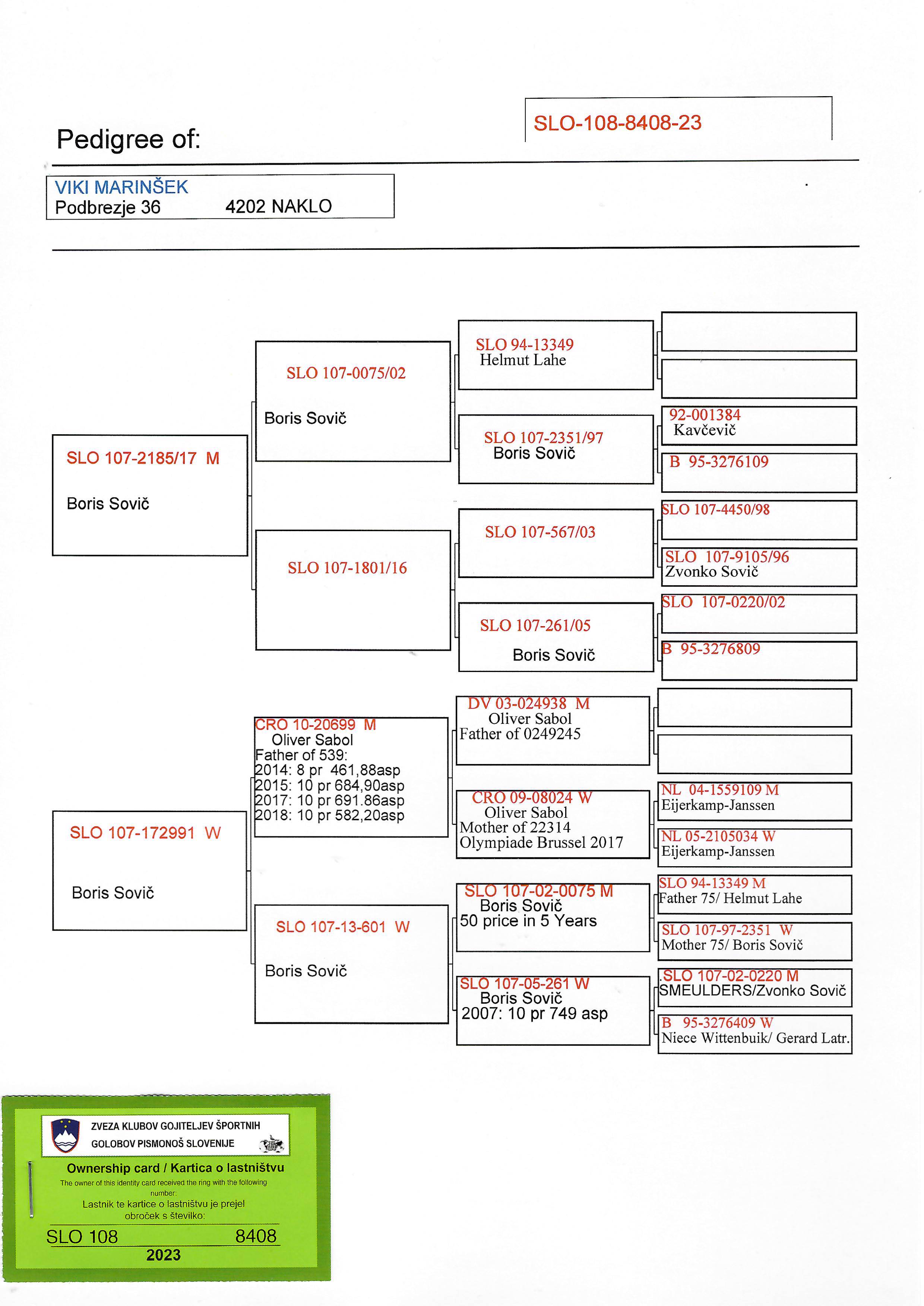 Pigeon pedigree image