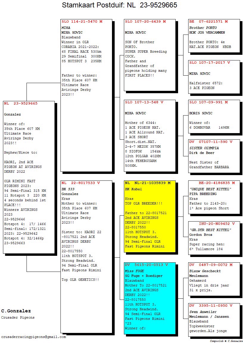 Pigeon pedigree image