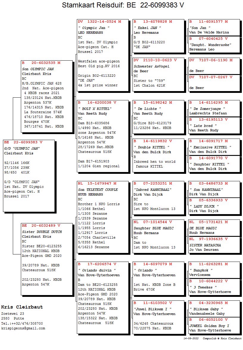 Pigeon pedigree image
