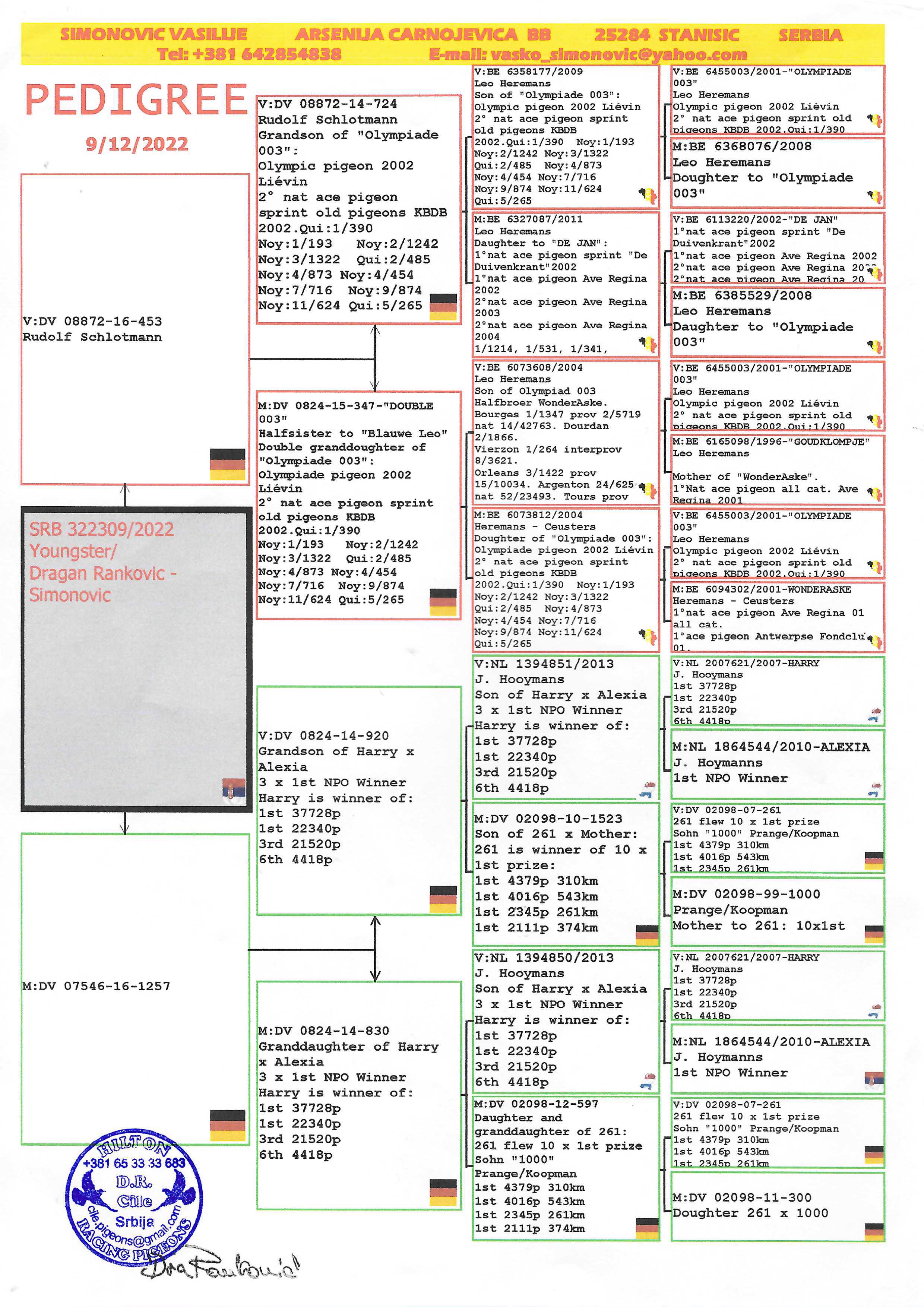 Pigeon pedigree image