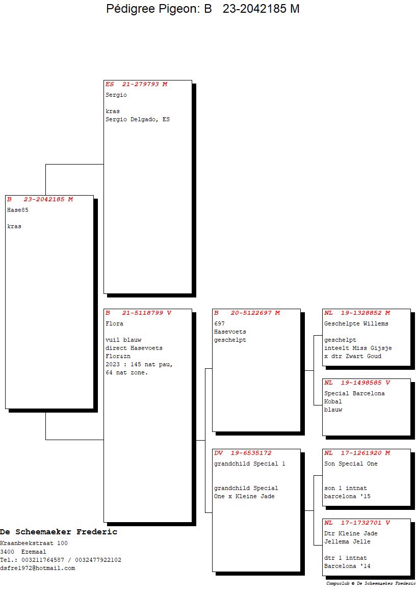 Pigeon pedigree image