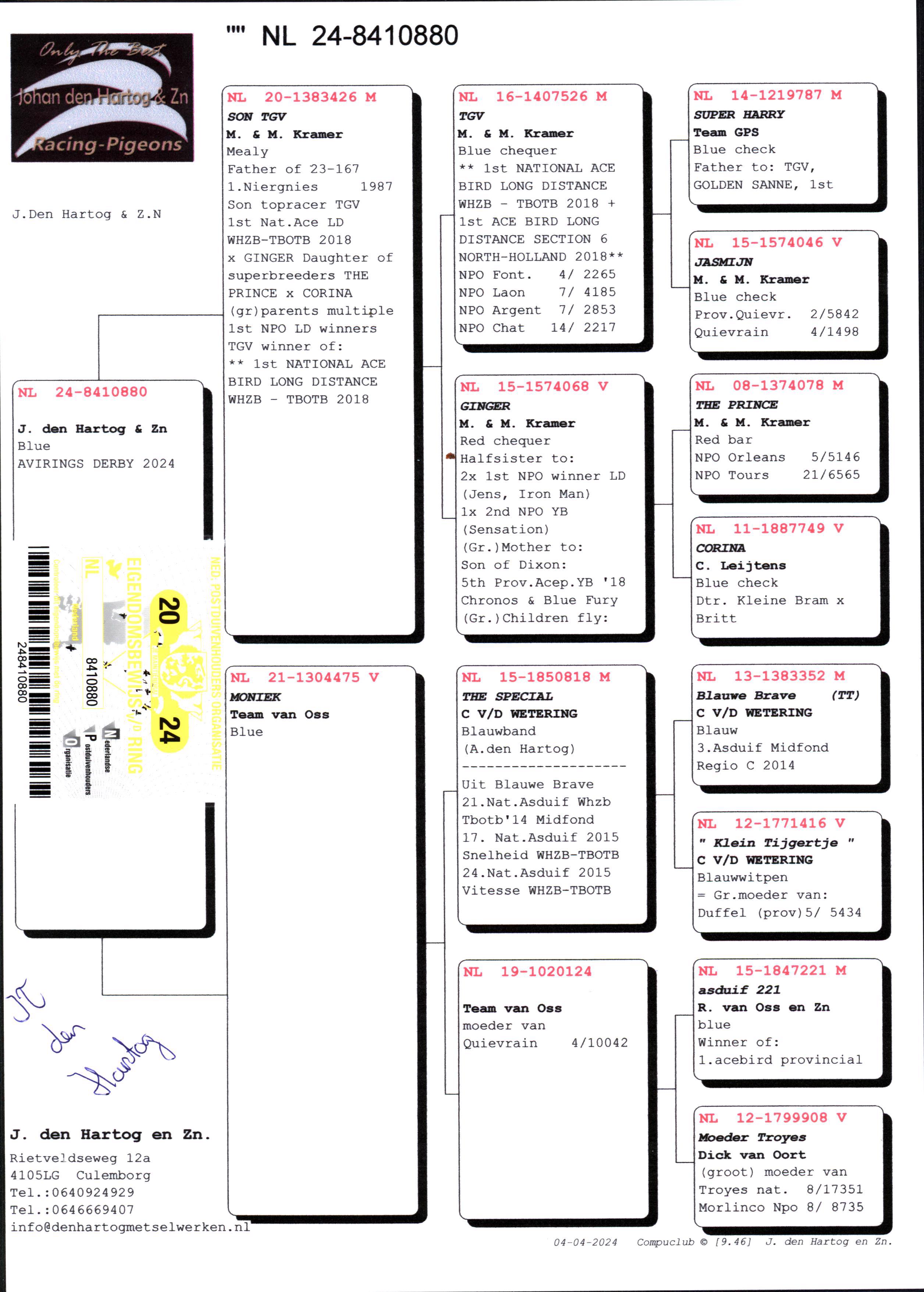 Pigeon pedigree image