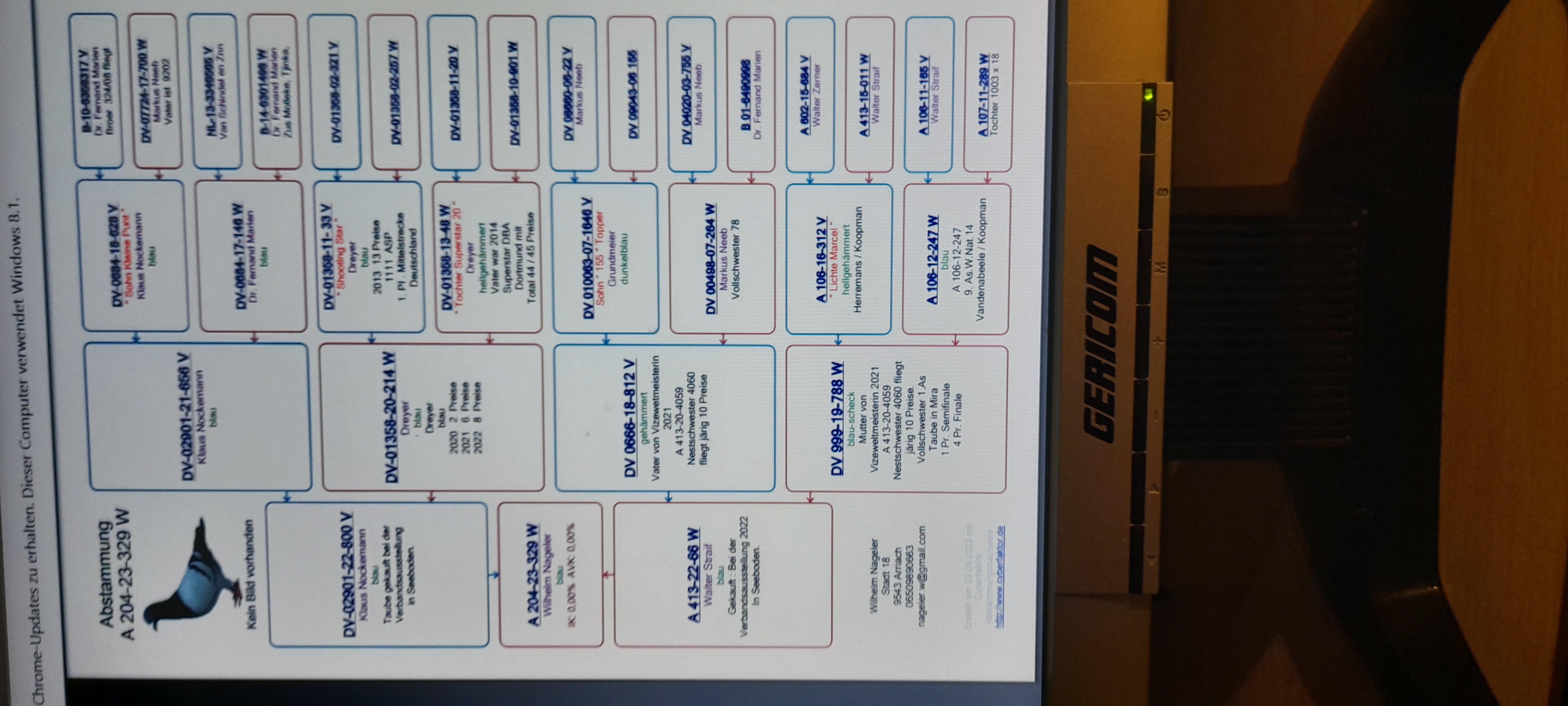 Pigeon pedigree image