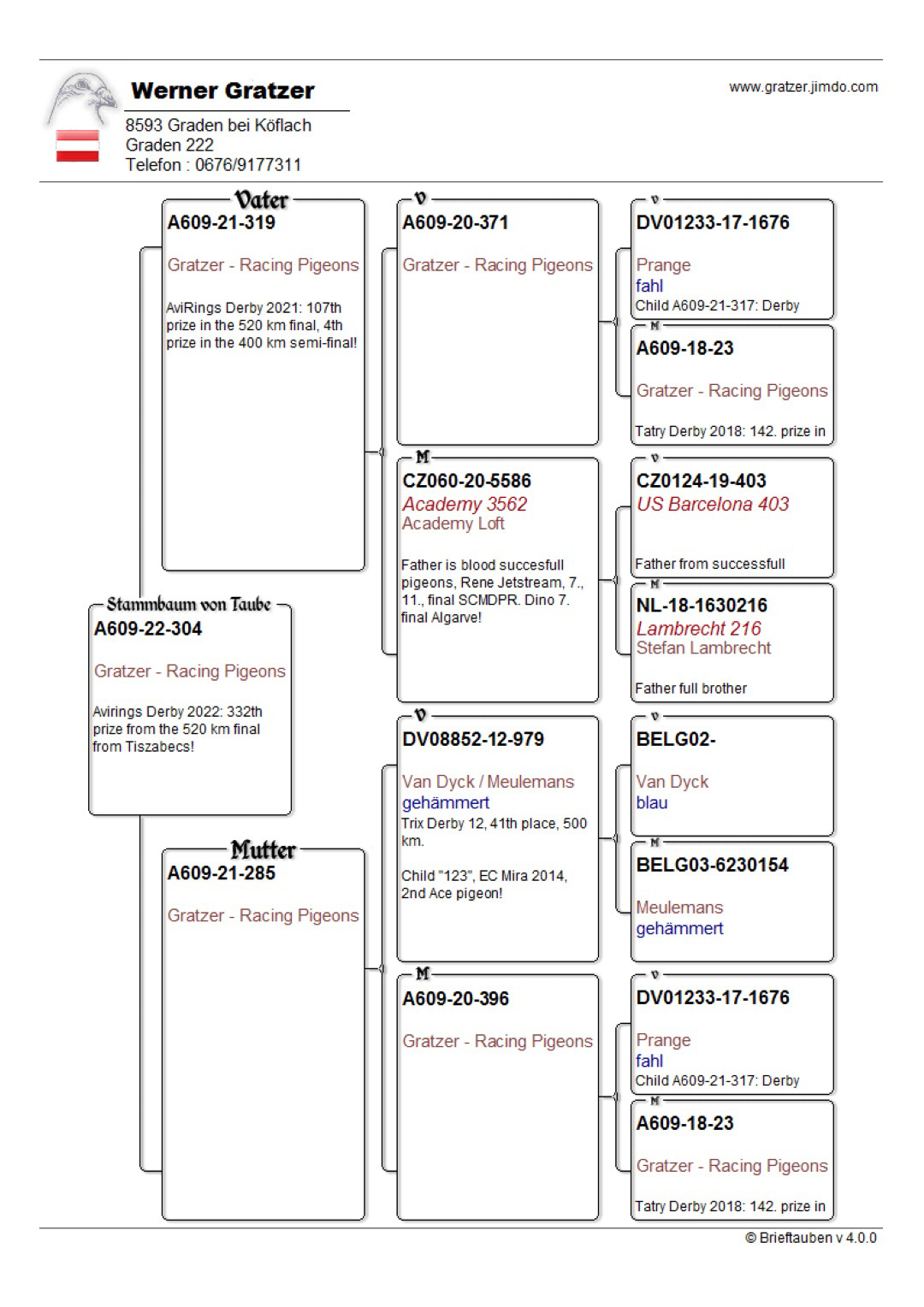 Pigeon pedigree image