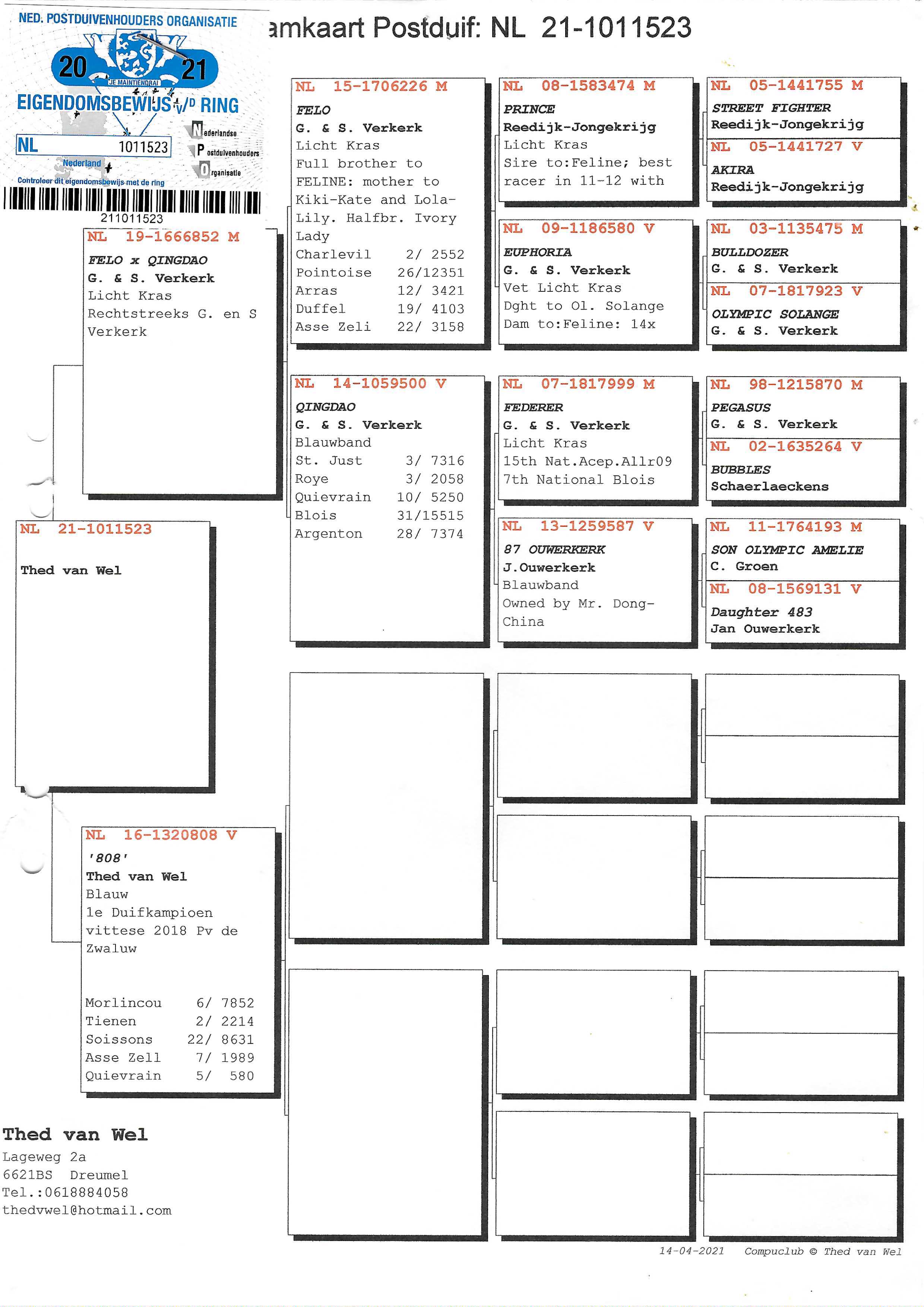 Pigeon pedigree image