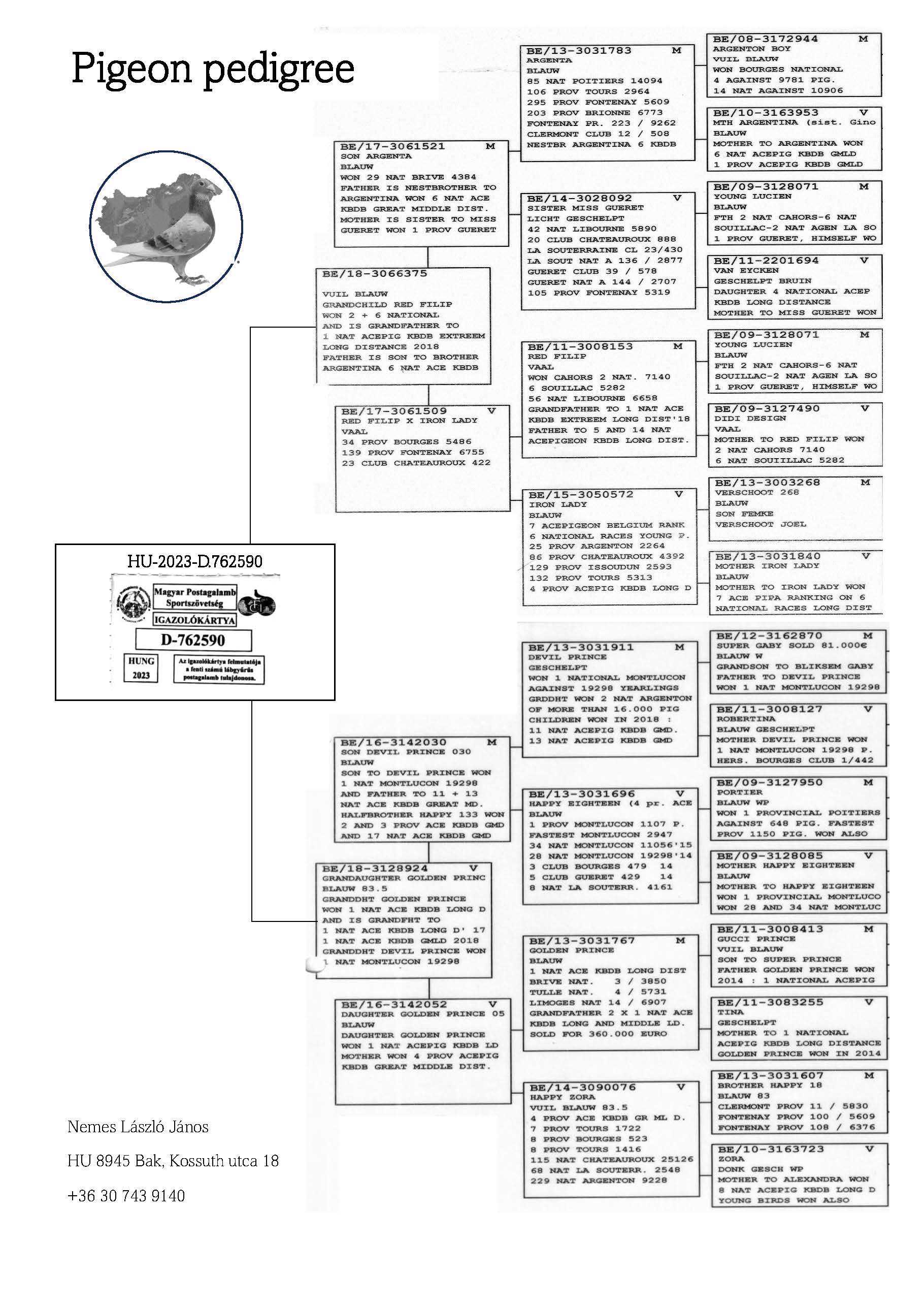 Pigeon pedigree image