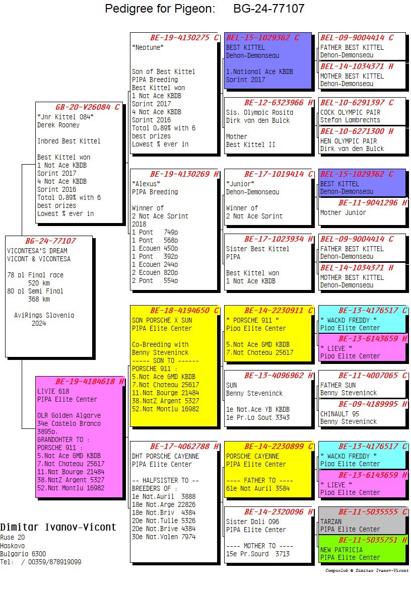 Pigeon pedigree image
