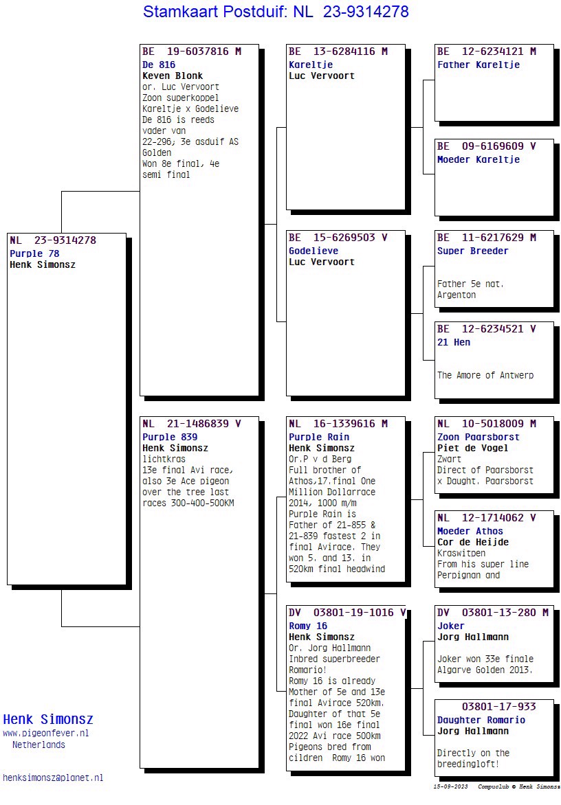 Pigeon pedigree image