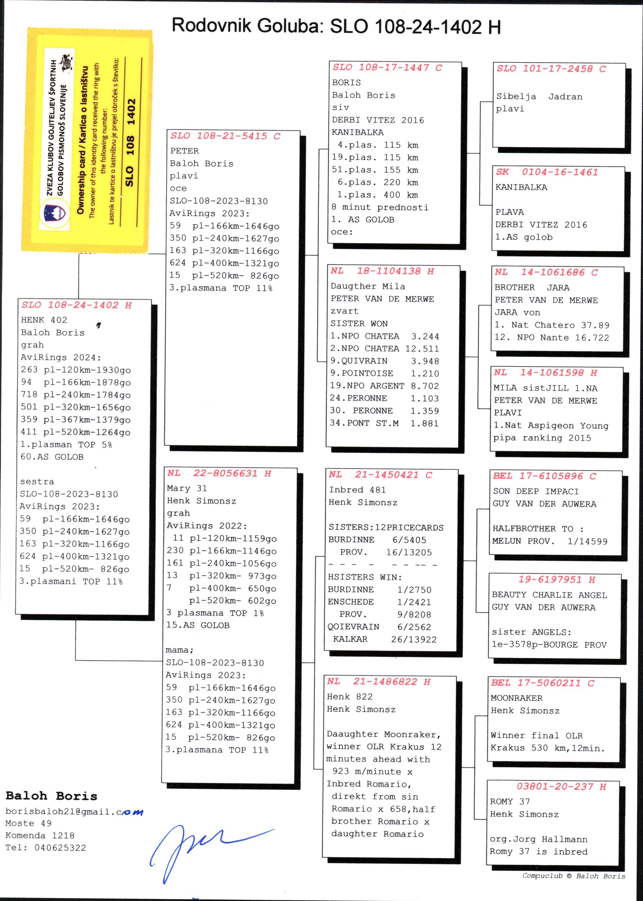 Pigeon pedigree image