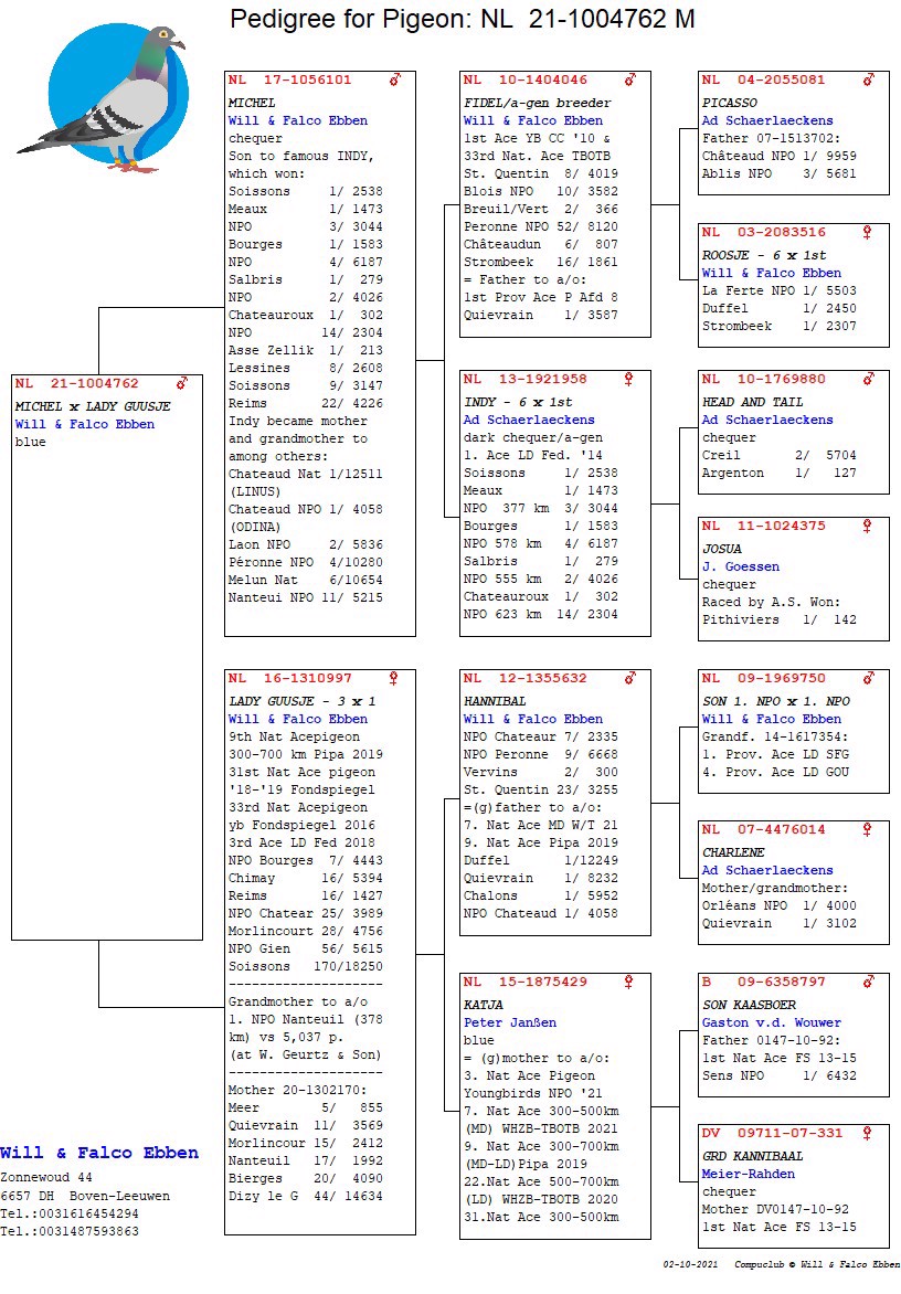 Pigeon pedigree image
