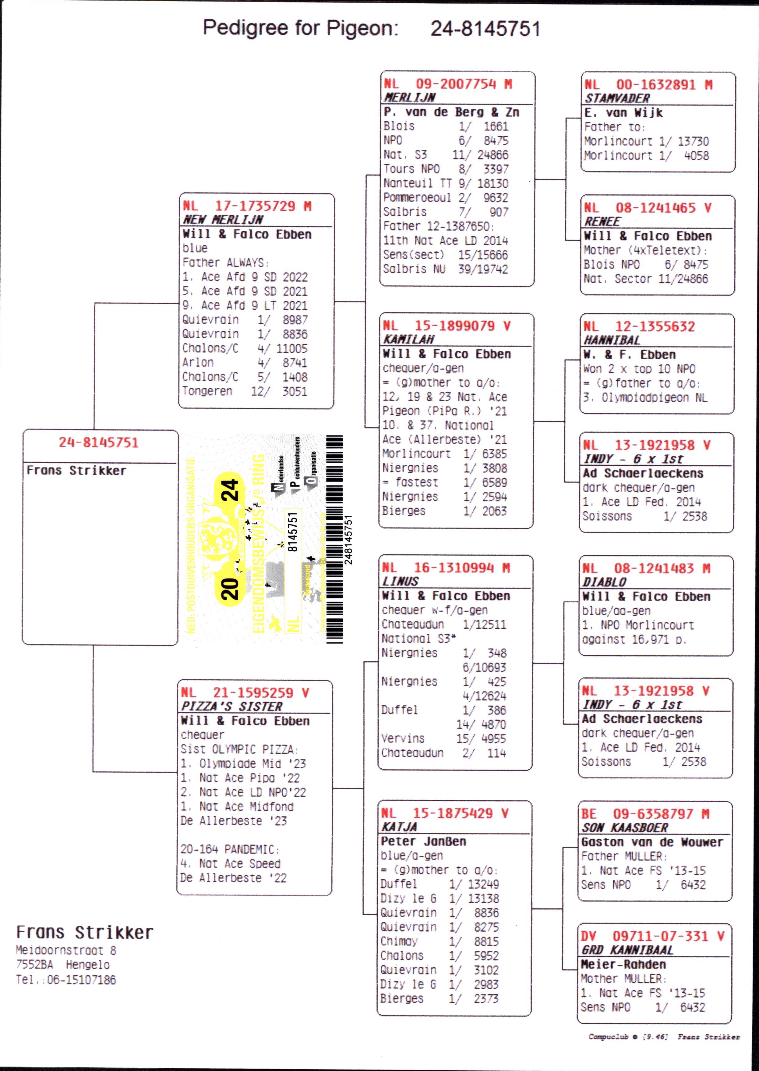 Pigeon pedigree image