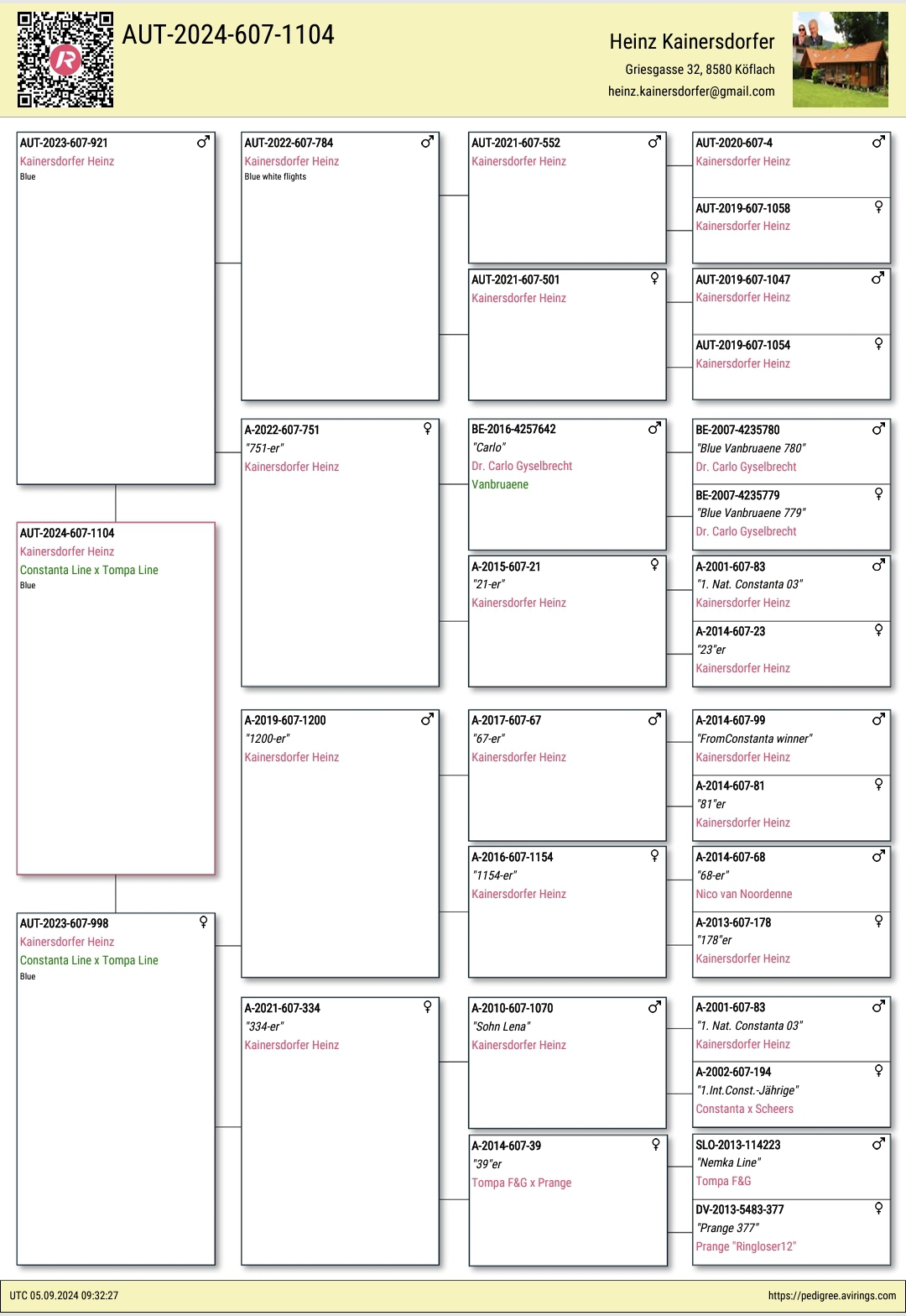 Pigeon pedigree image