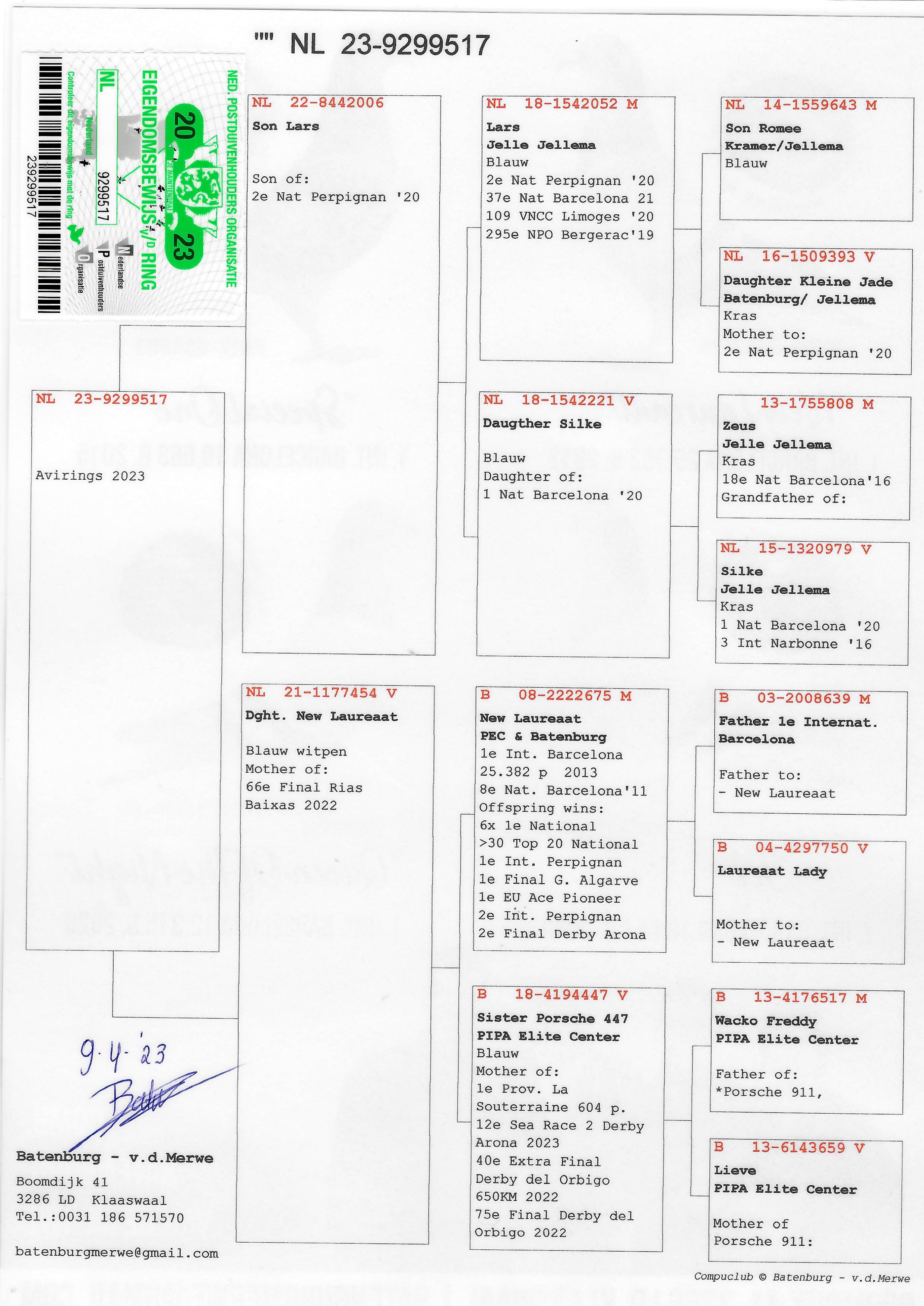 Pigeon pedigree image