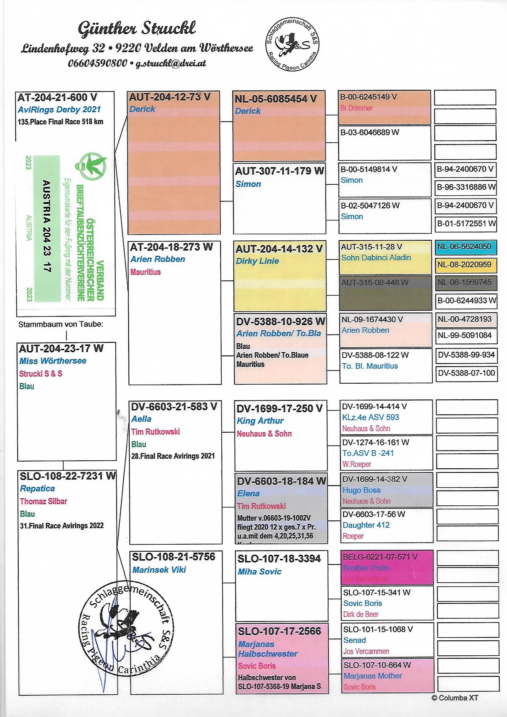 Pigeon pedigree image