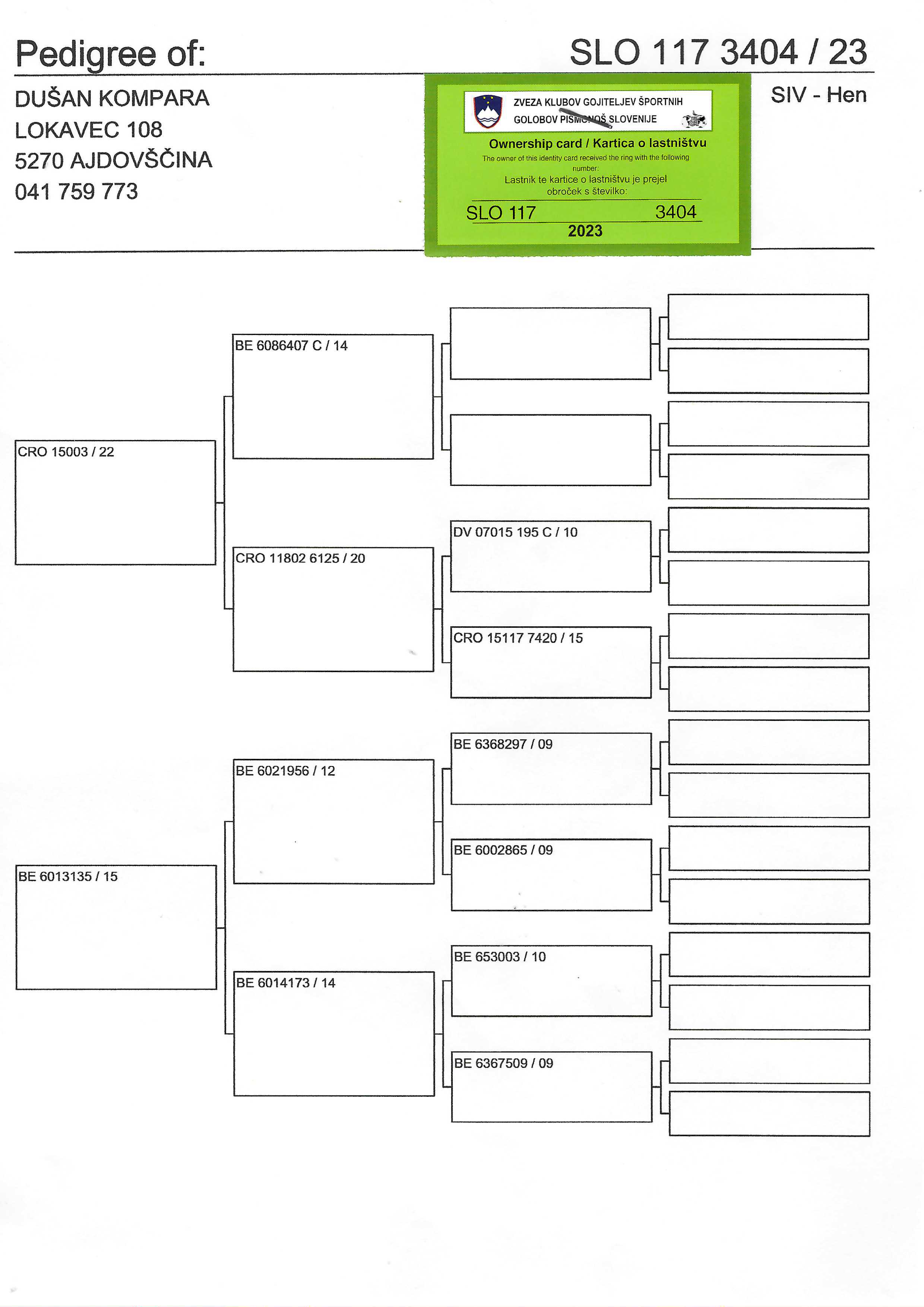Pigeon pedigree image
