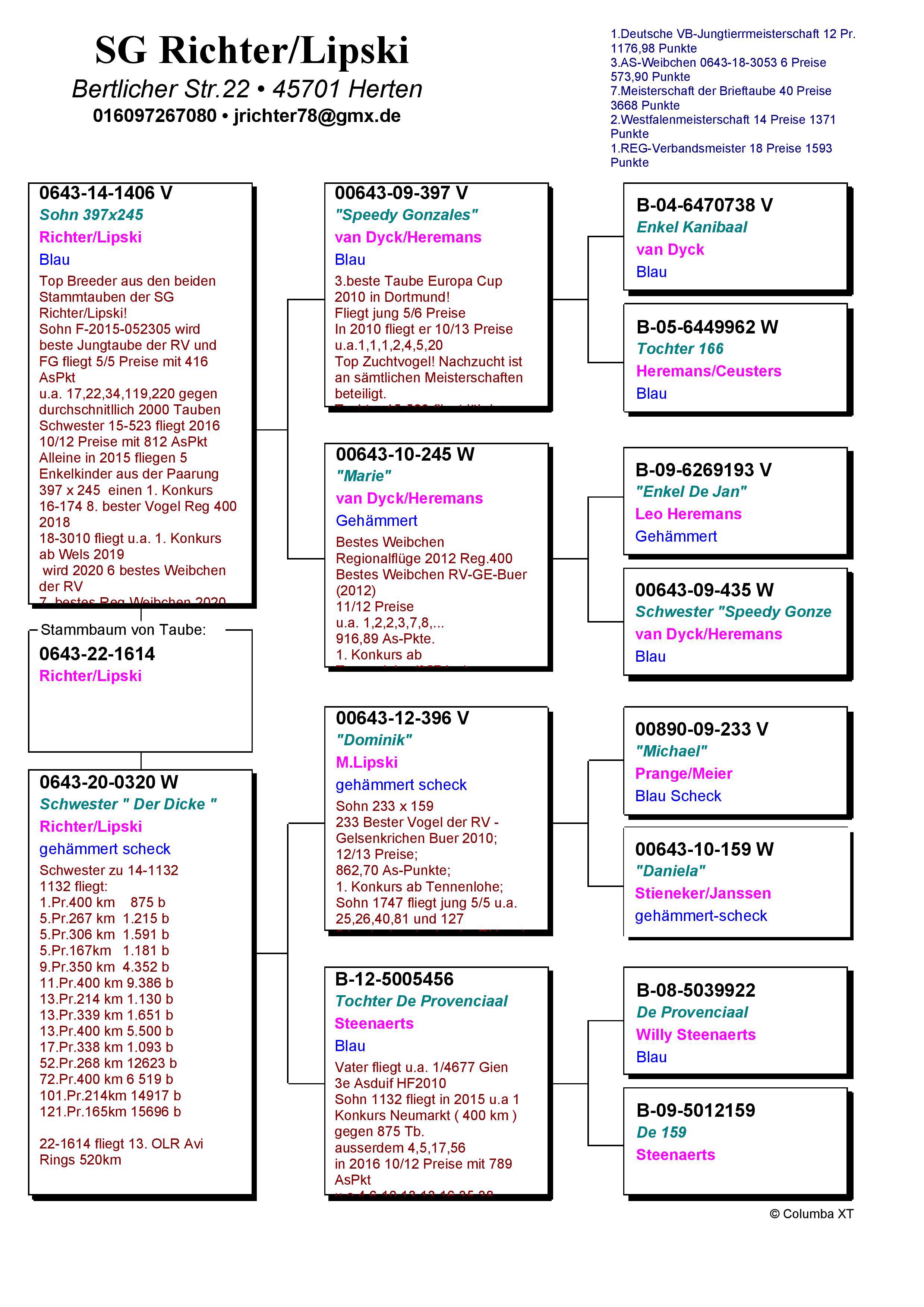 Pigeon pedigree image