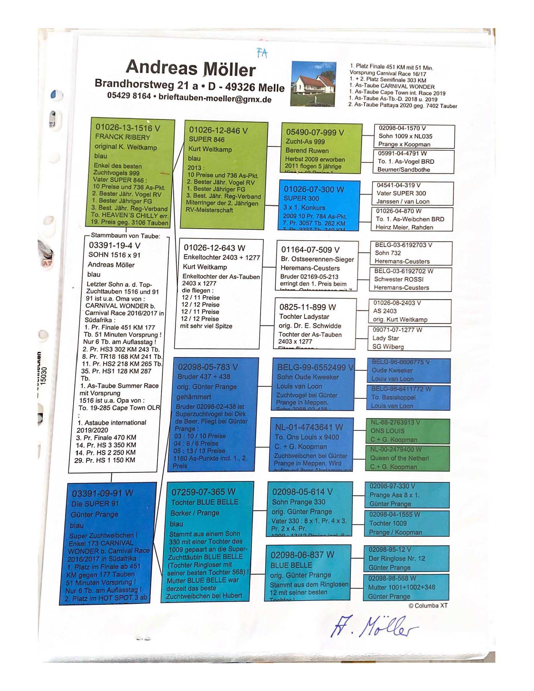 Pigeon pedigree image