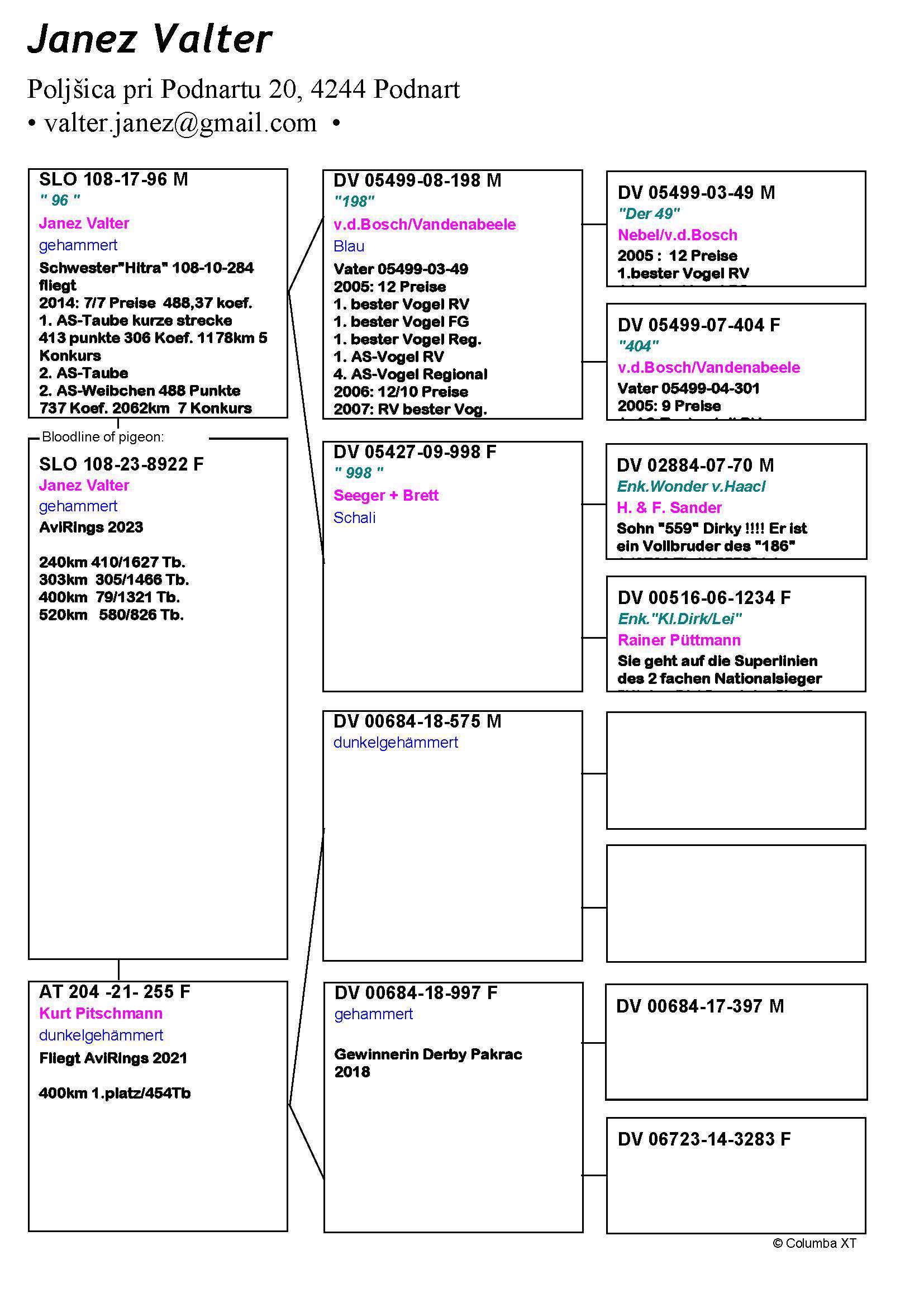 Pigeon pedigree image