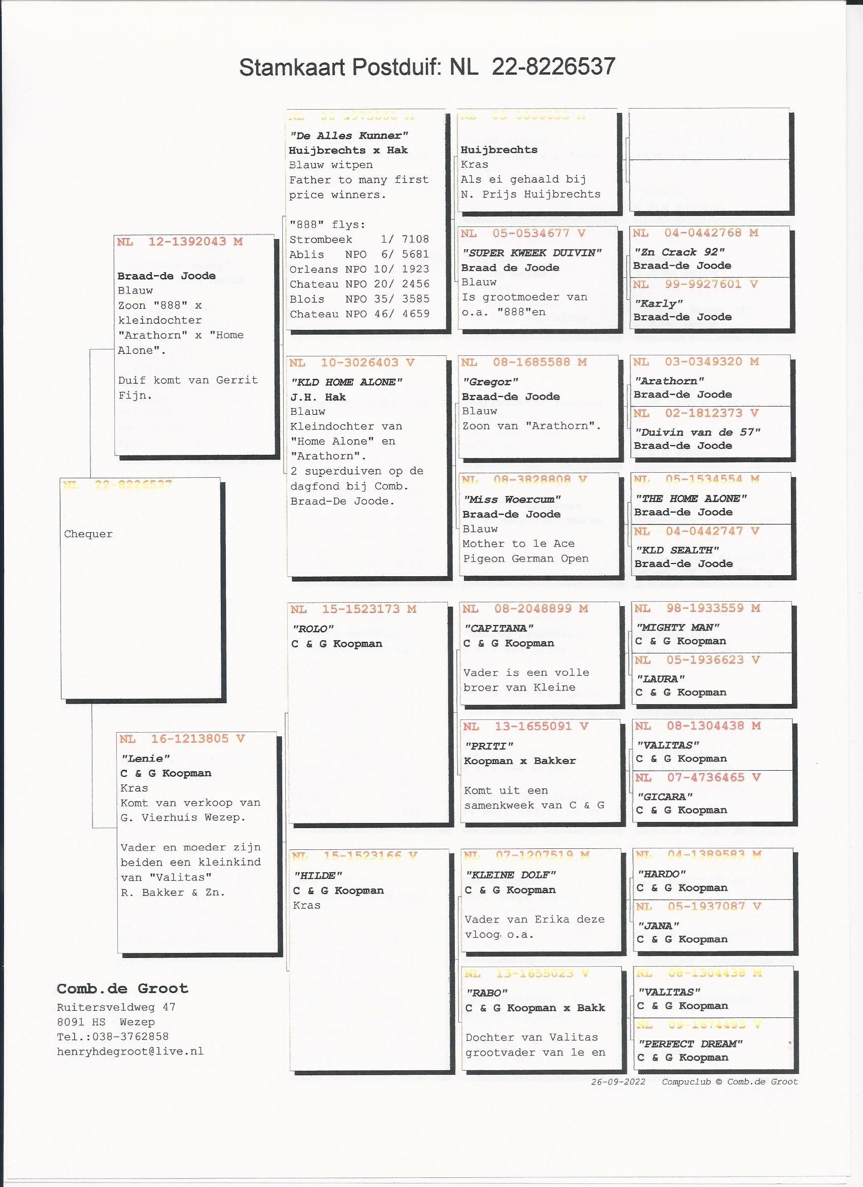 Pigeon pedigree image