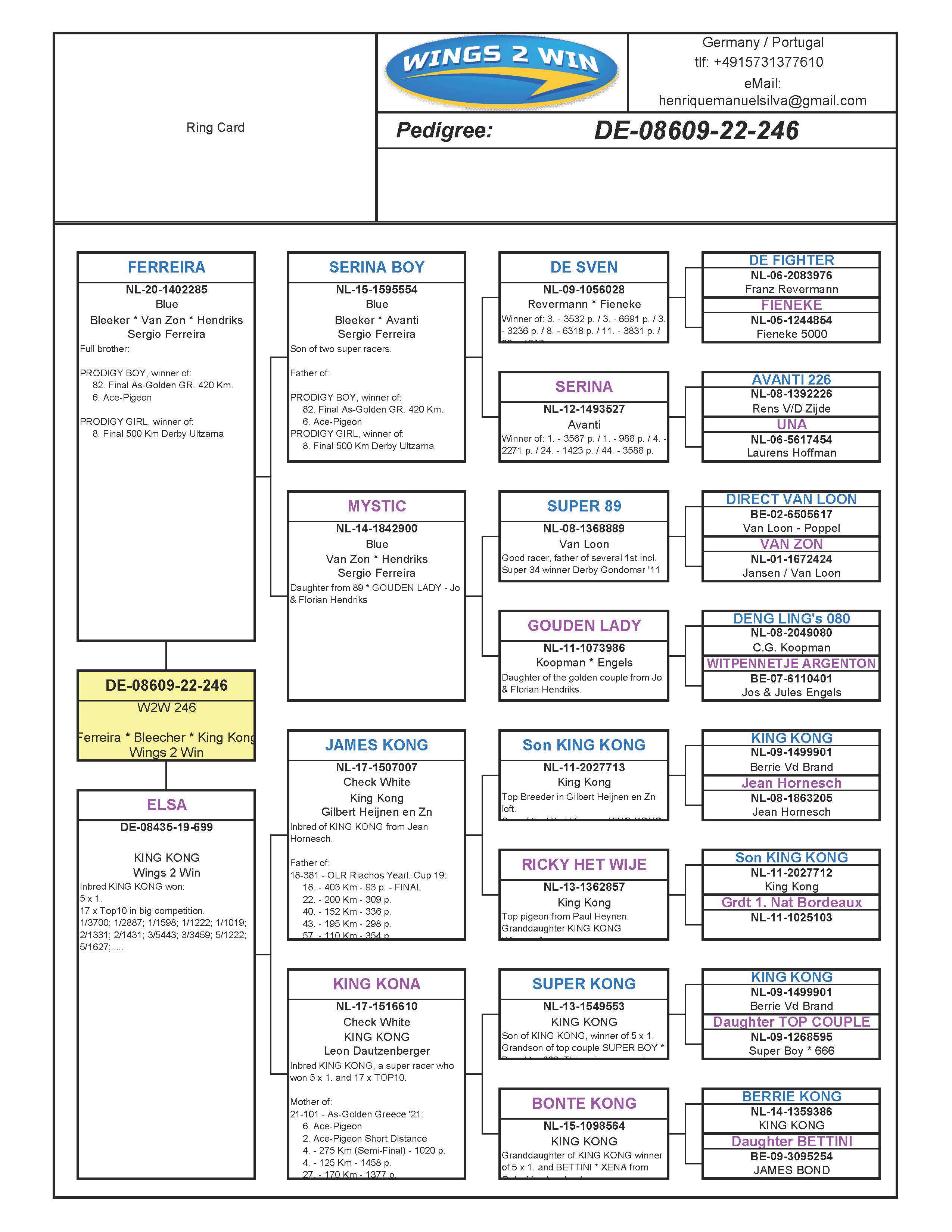 Pigeon pedigree image