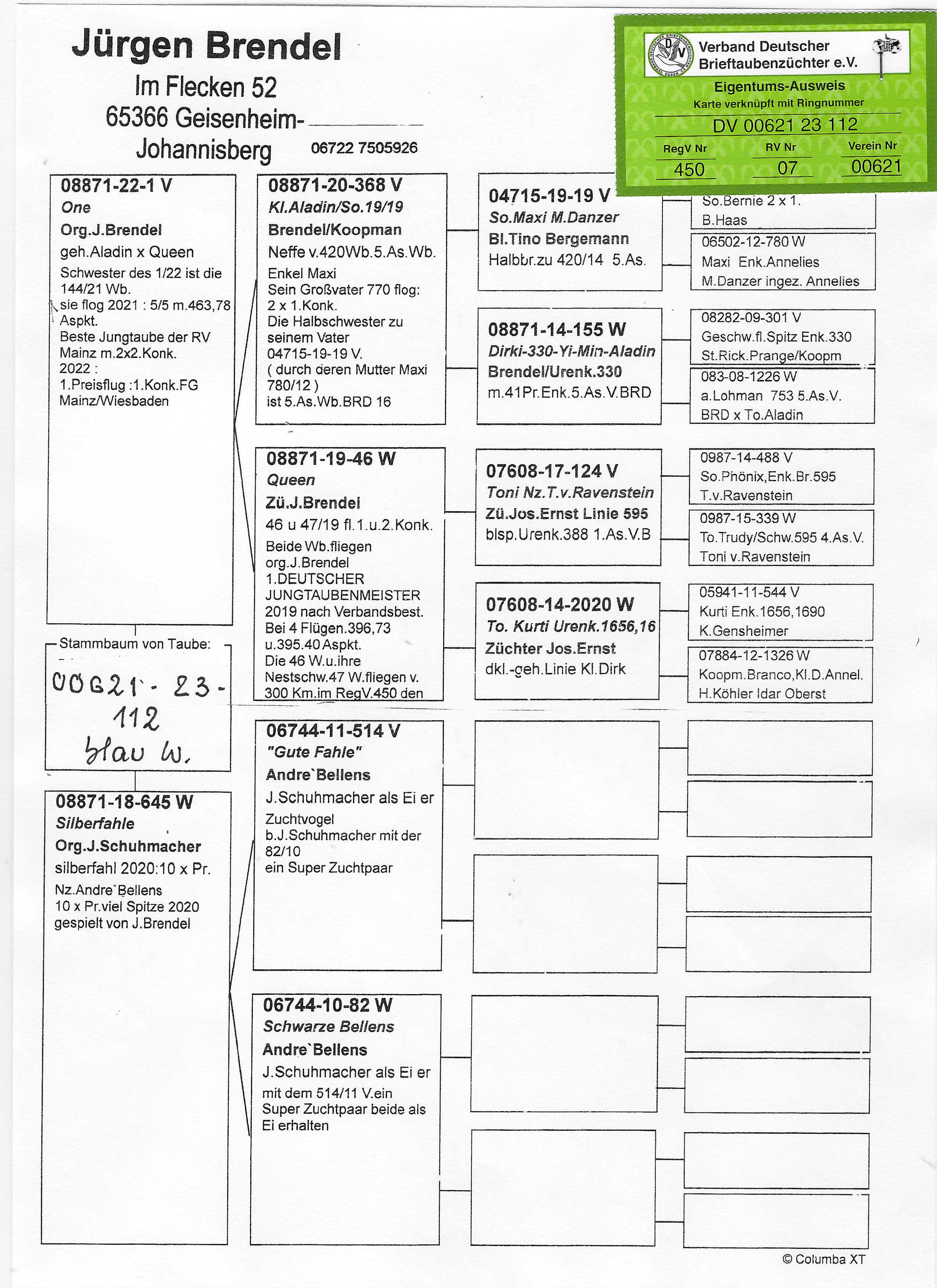 Pigeon pedigree image