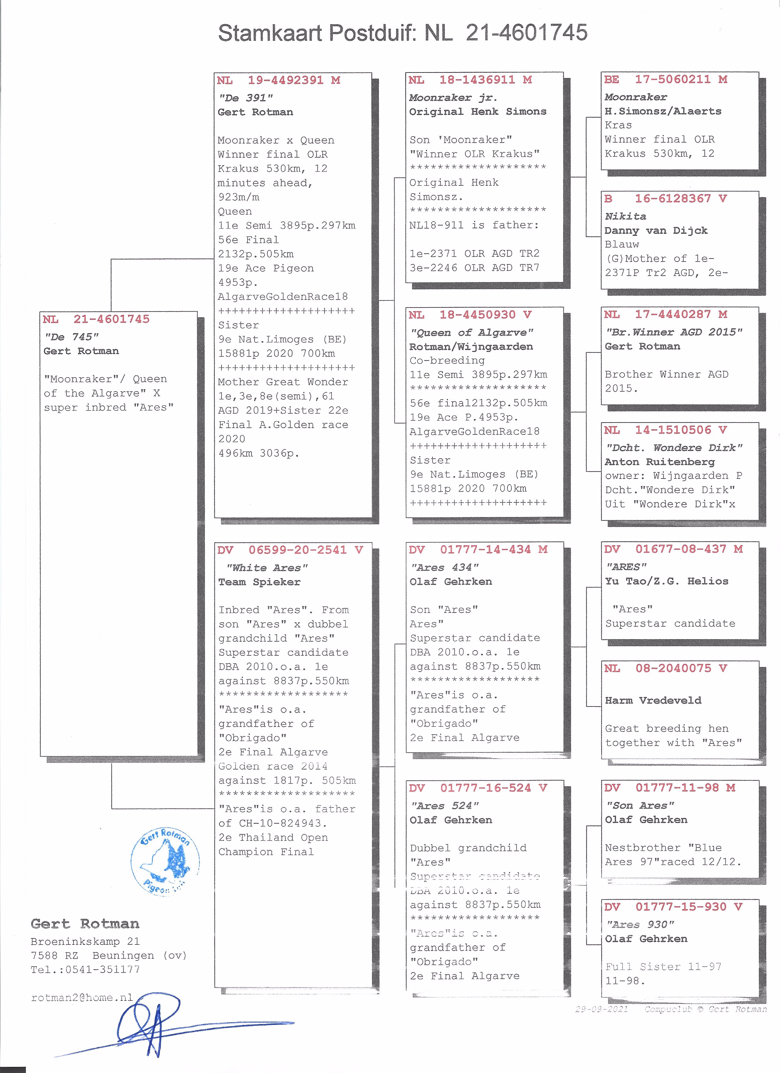 Pigeon pedigree image