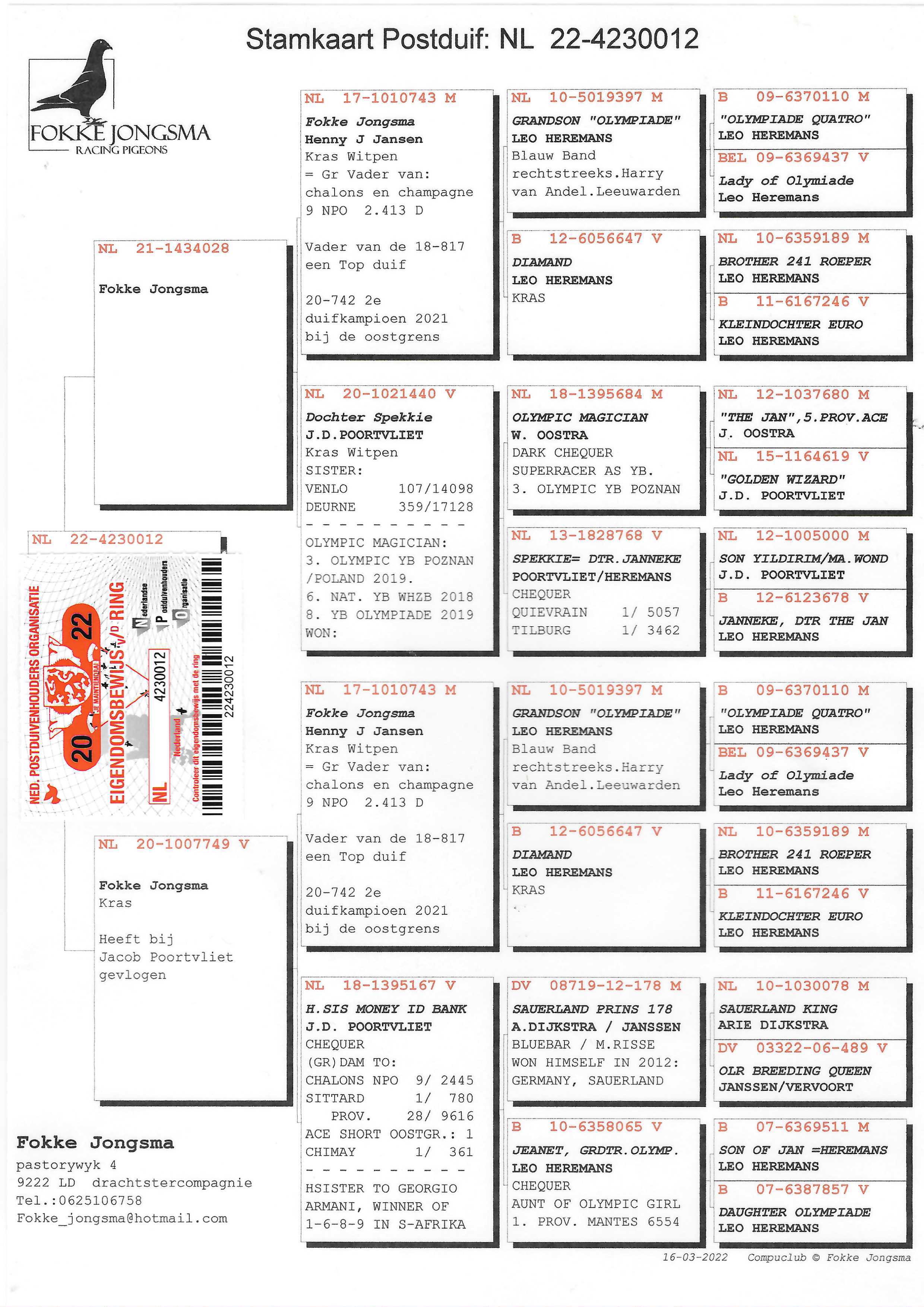 Pigeon pedigree image