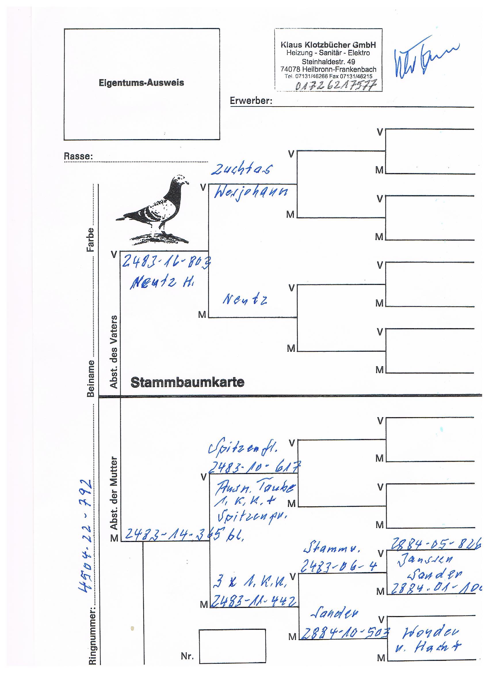 Pigeon pedigree image