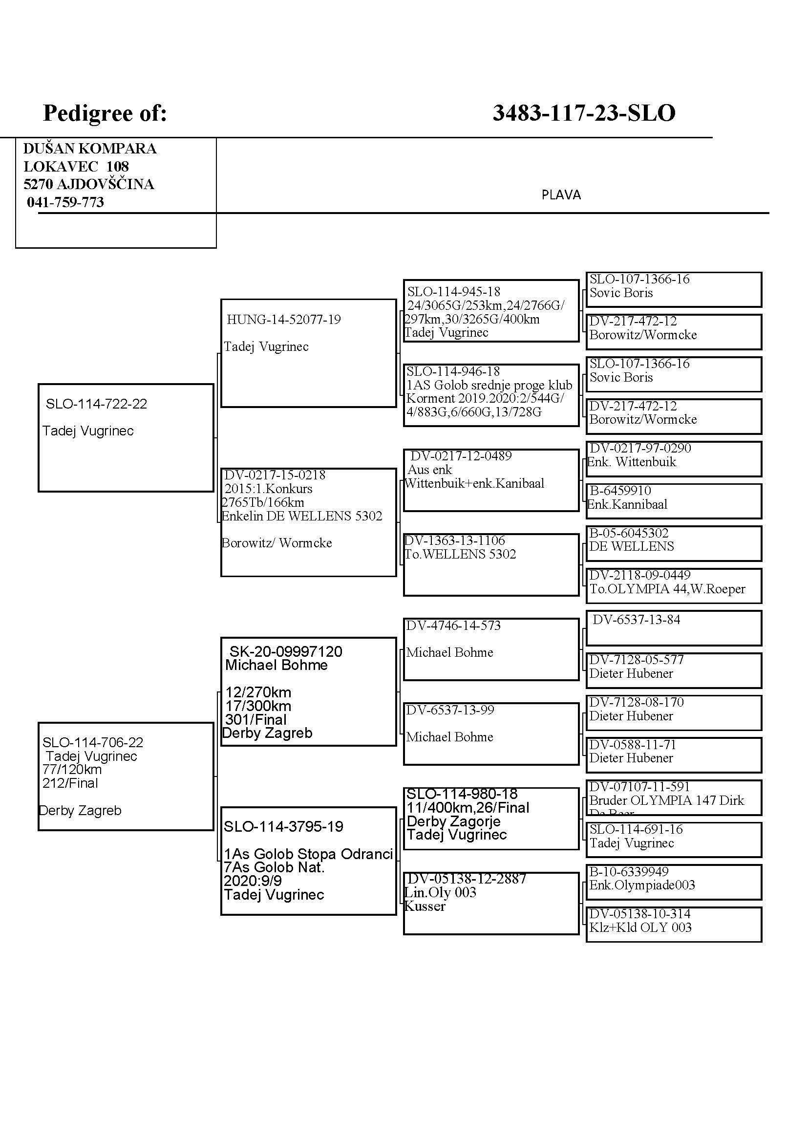 Pigeon pedigree image