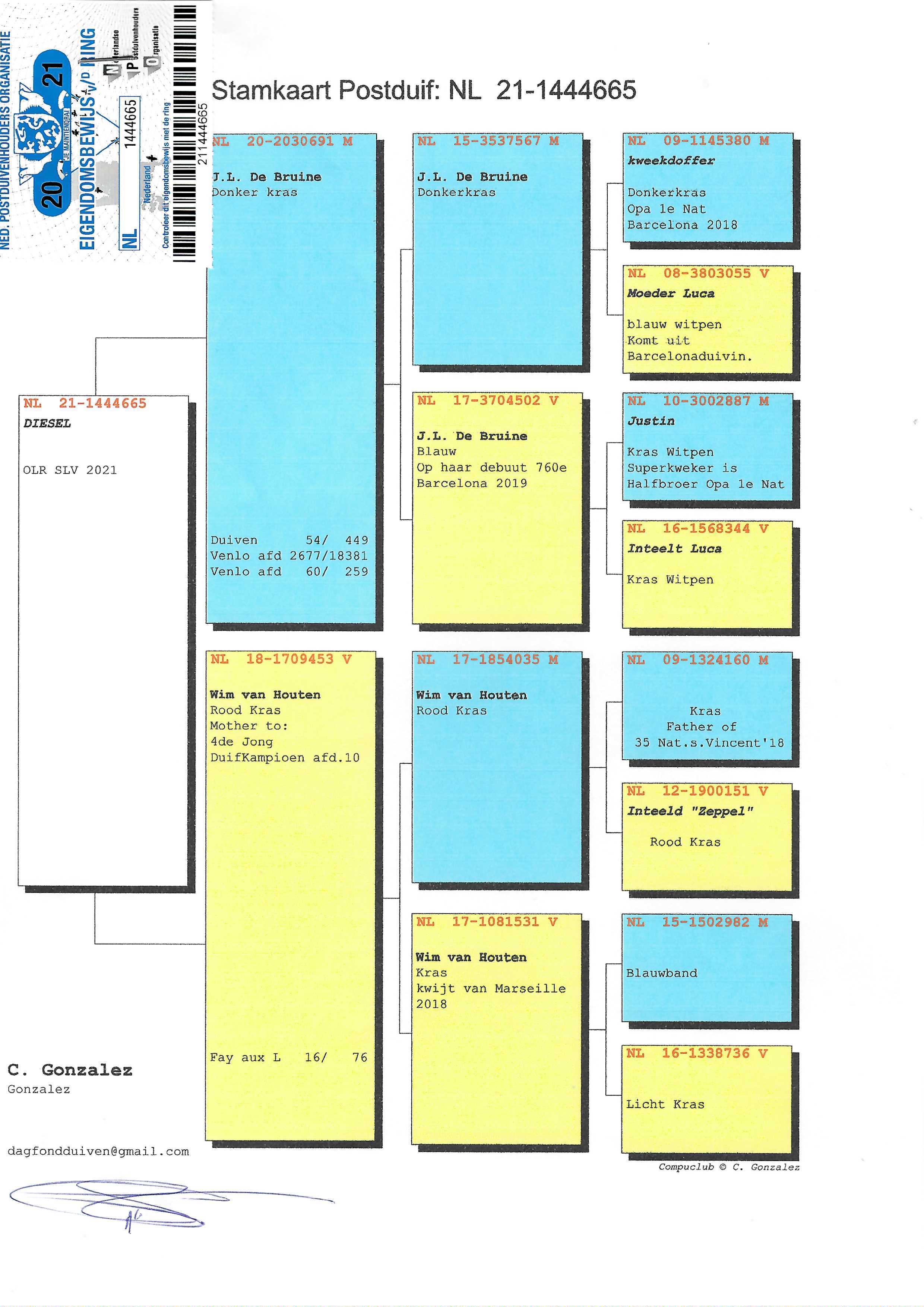Pigeon pedigree image