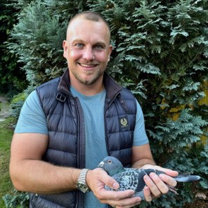 Pigeon image